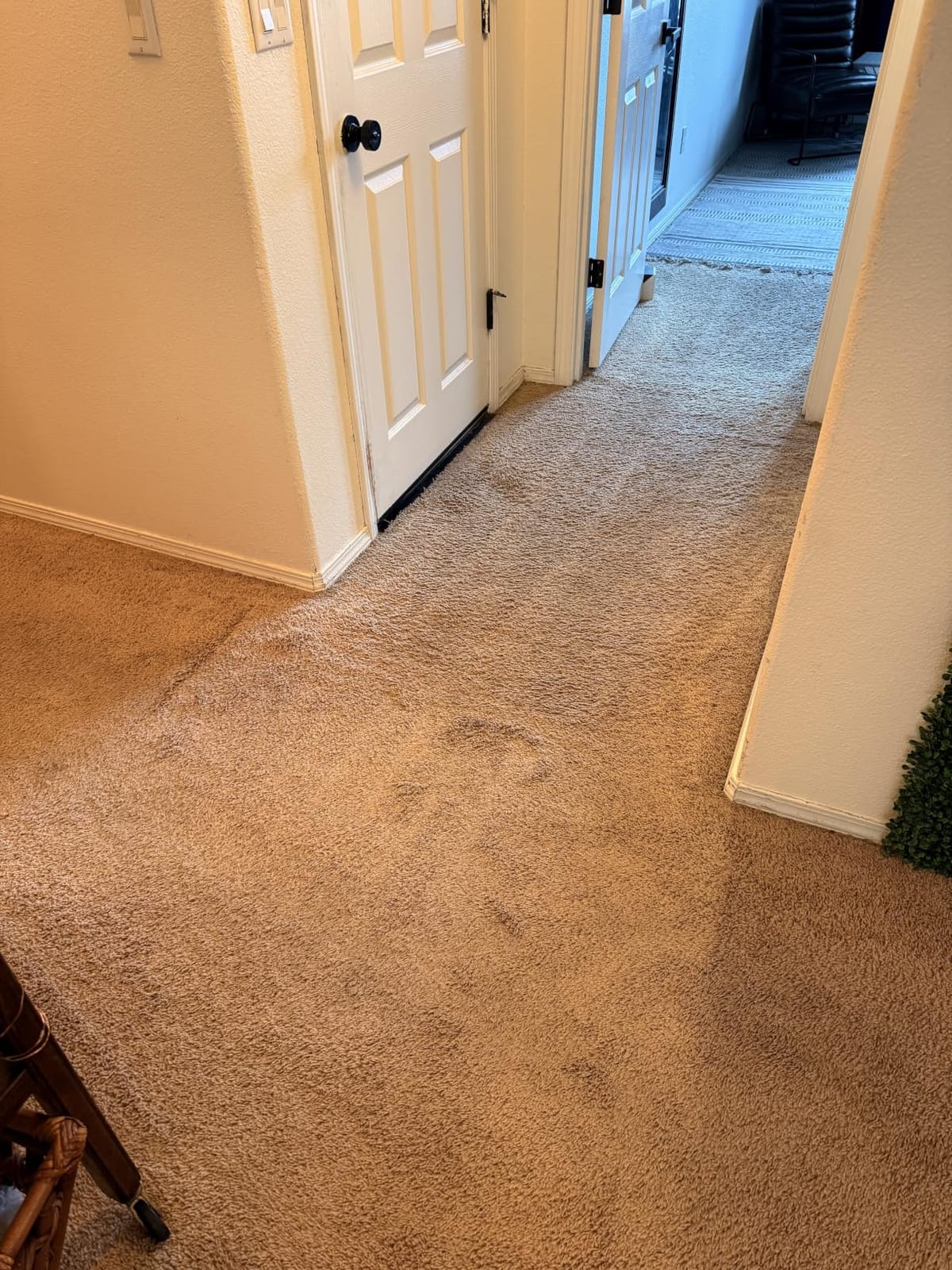BISSELL Revolution HydroSteam Carpet Cleaner, 4123 customer photo 1