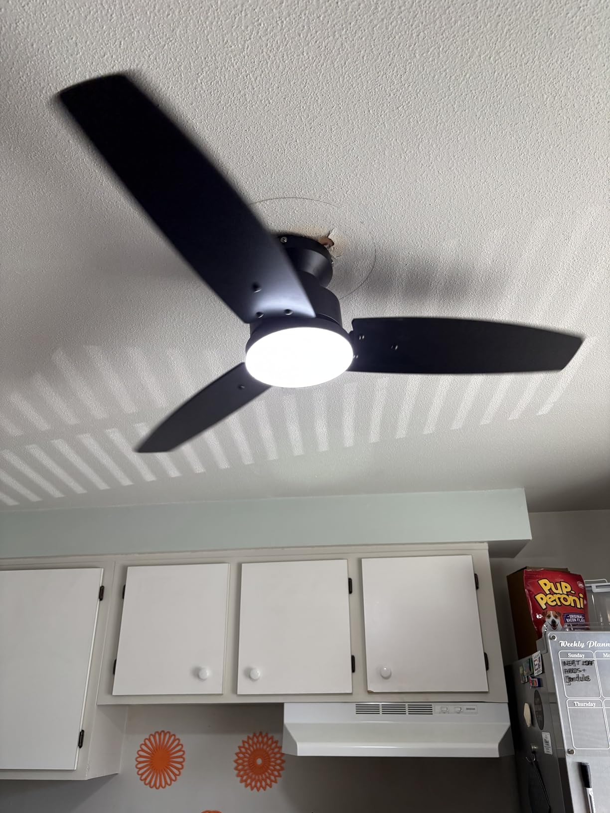 Modern 42 Inch Ceiling Fans with Lights and Remote, Bedroom Living Room Office, Flush Mount, 18W 6CCT Dimmable, Dual Color 3 Blades 6 Speed Reversible Quiet DC Motor, Black/Wood Grain customer photo 2