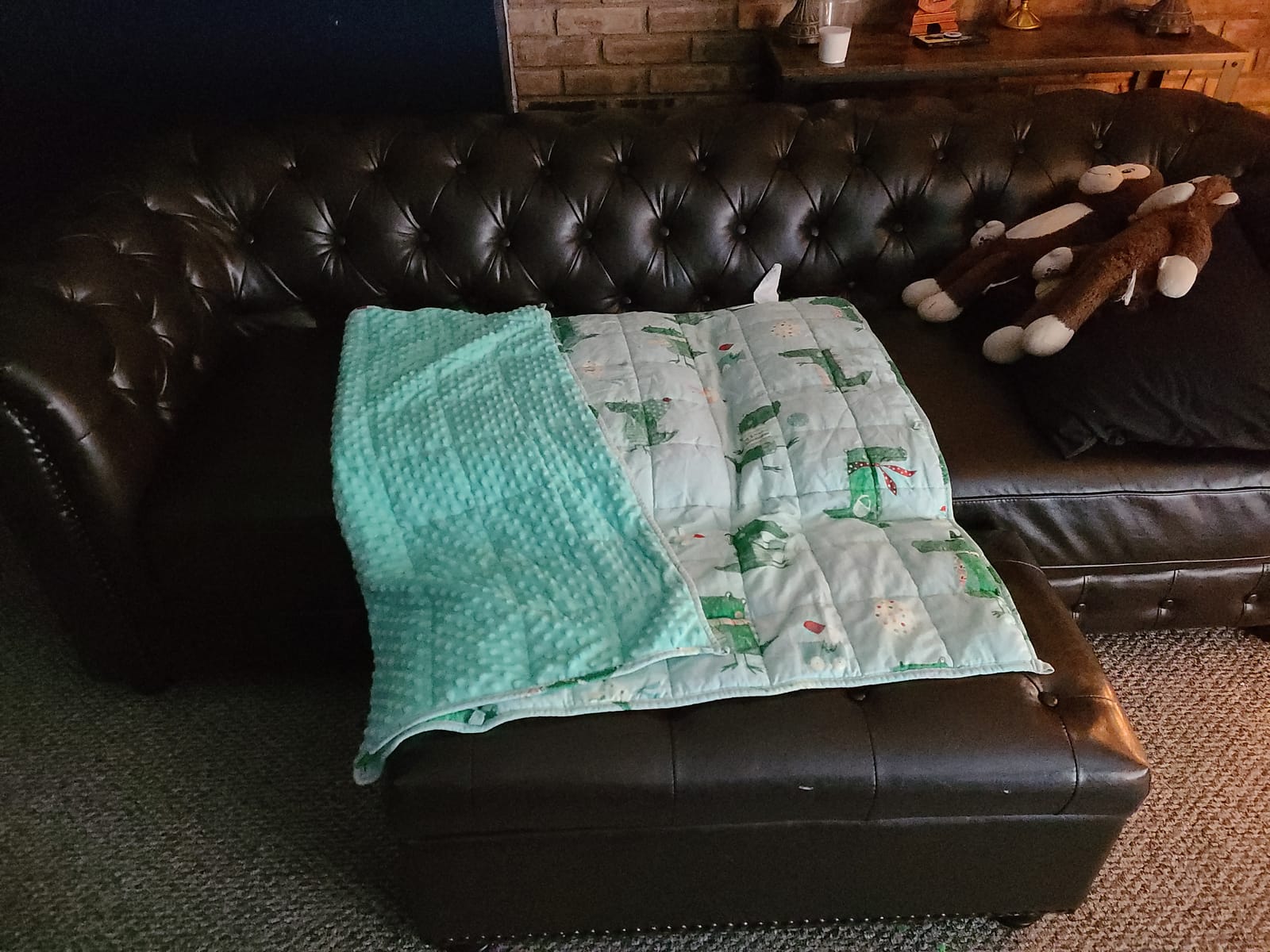 Sivio Weighted Blanket for Sleep, 5lbs, 36 x 48 inches, Blue Dinosaur customer photo 2