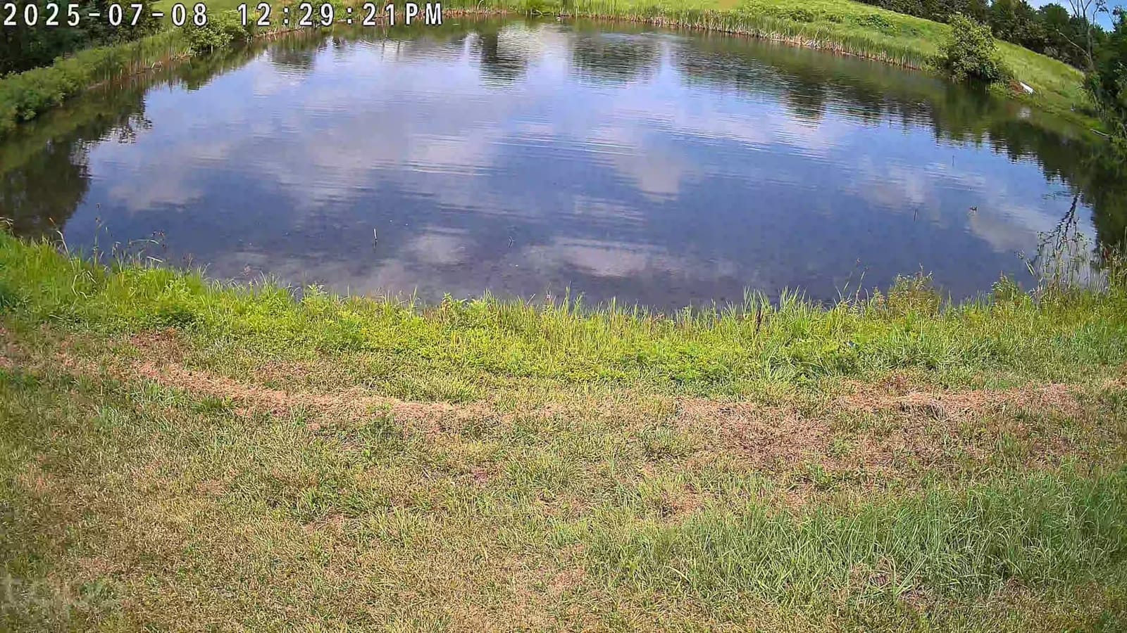 Tapo 4K Outdoor Pan/Tilt Wireless Security Camera, Solar Charging, C660 KIT customer photo 1
