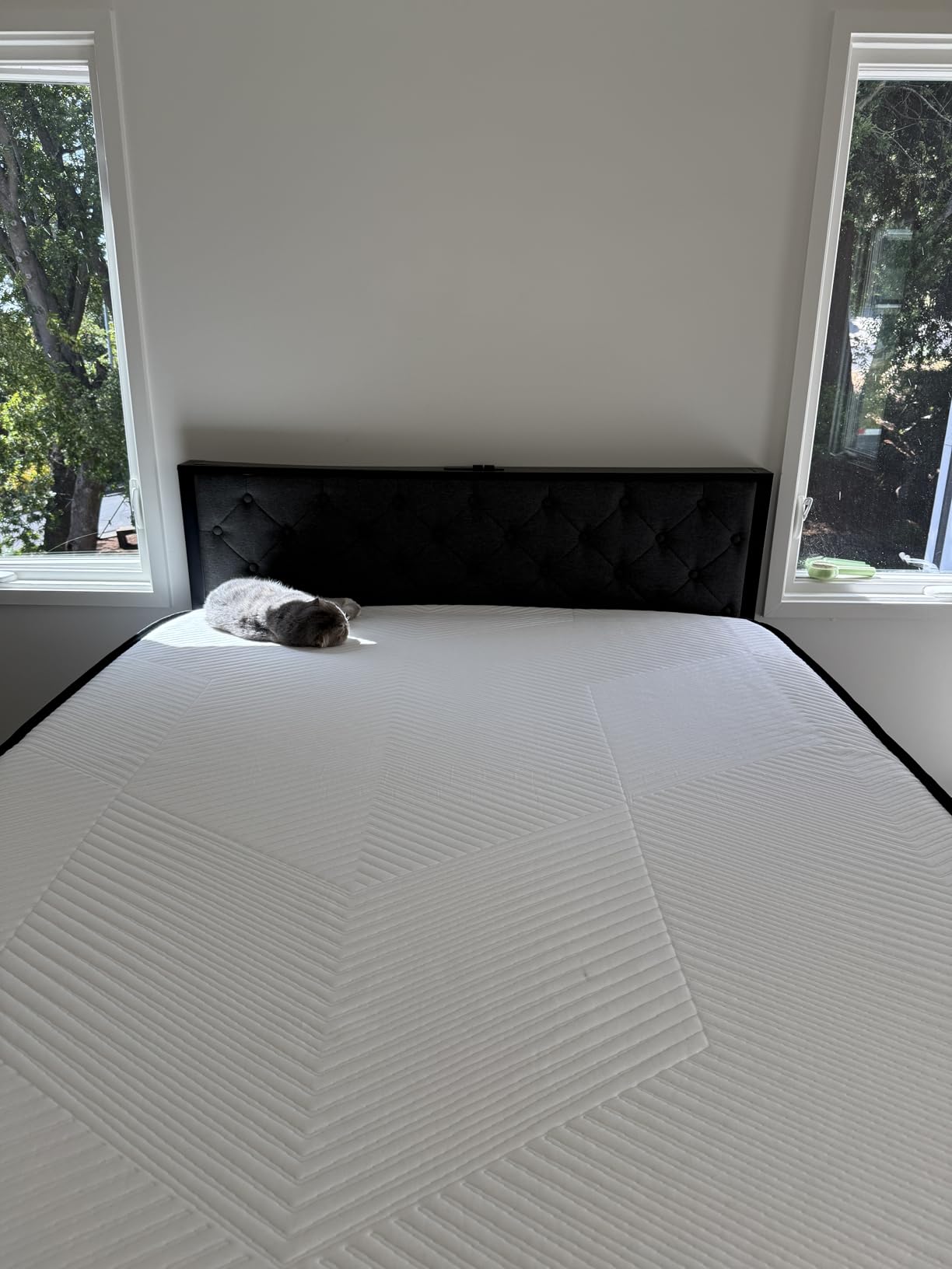 Fluest Queen Bed Frame with 2 Storage Drawers, Upholstered Headboard Button Tufted Bed Frame with Charging Station, No Box Spring Needed, Noise-Free, All Metal Structure, Black customer photo 1