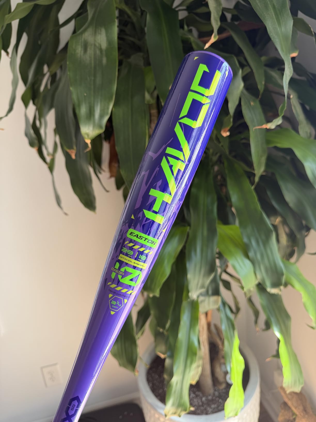Easton Havoc USA Baseball Bat | -10| 1 Pc. Aluminum customer photo 1
