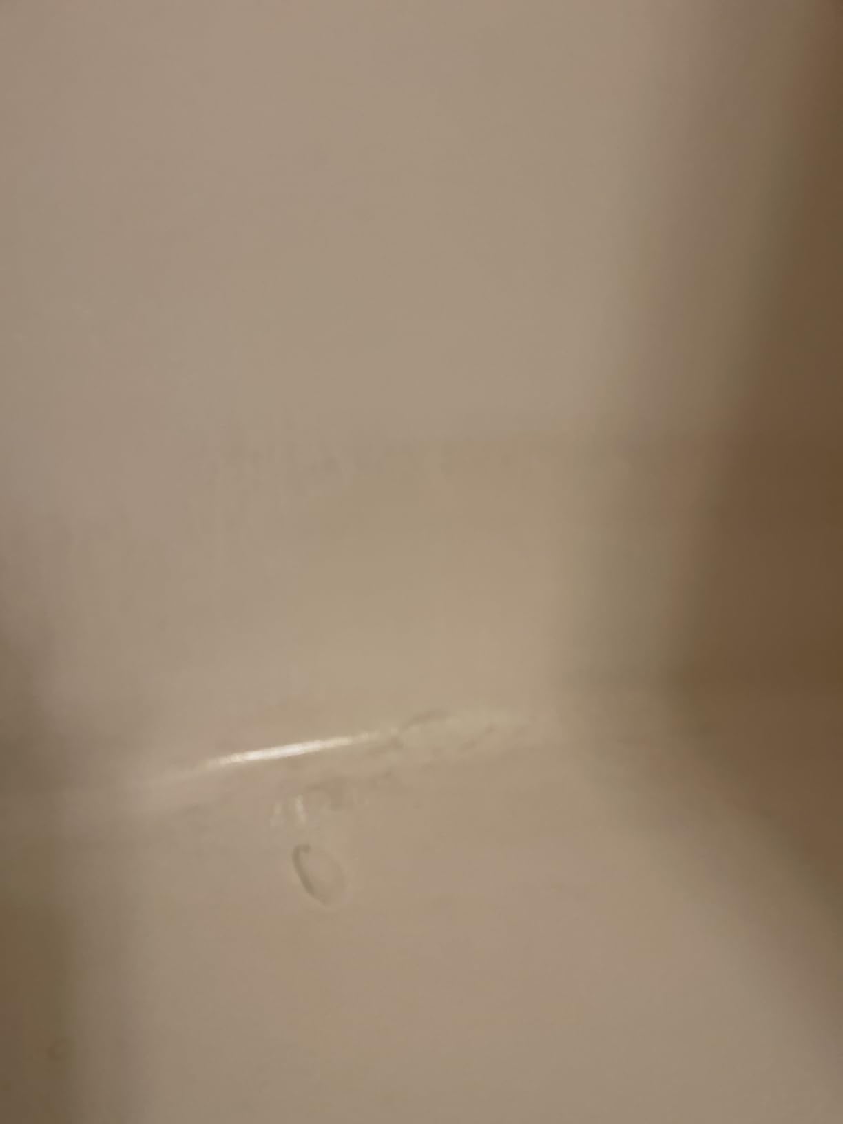 2500W Handheld Steam Cleaner for Home with 16 Accessories customer photo 2