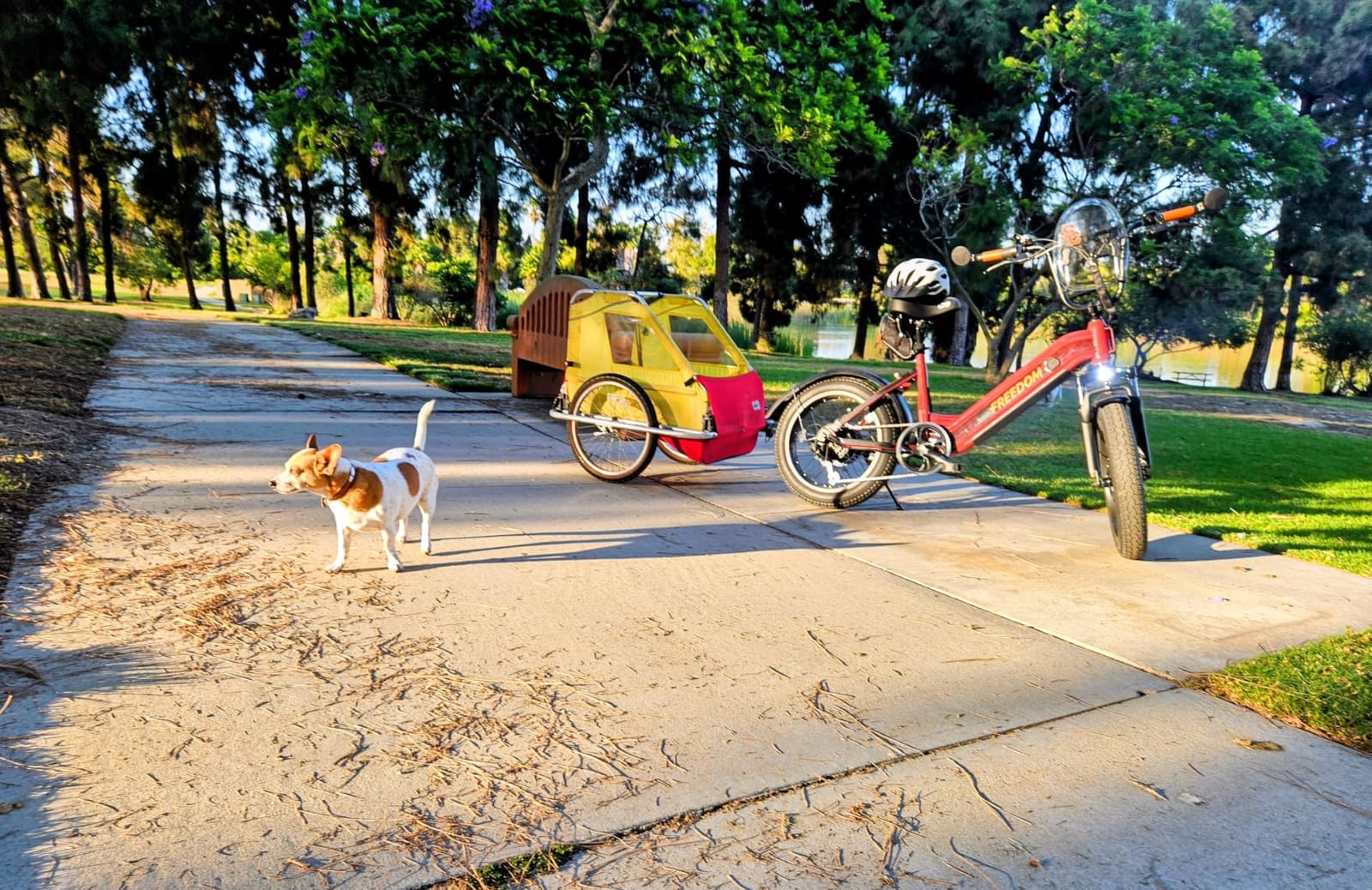 VEFREEDOM 1500W Electric Bike for Adults 20