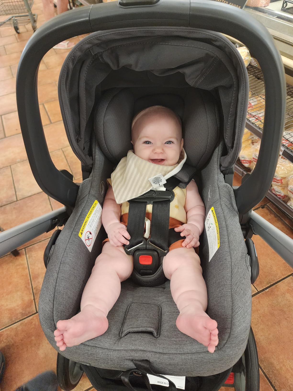 UPPAbaby Mesa V3 Infant Car Seat with Base, Insert & SmartSecure - Evelyn customer photo 1