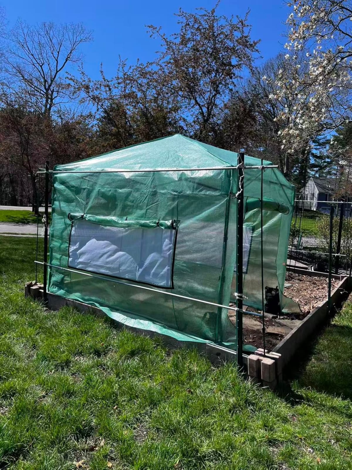 CROWN SHADES 12X8 Pop Up Outdoor Walk-in Portable Greenhouse,Green customer photo 1