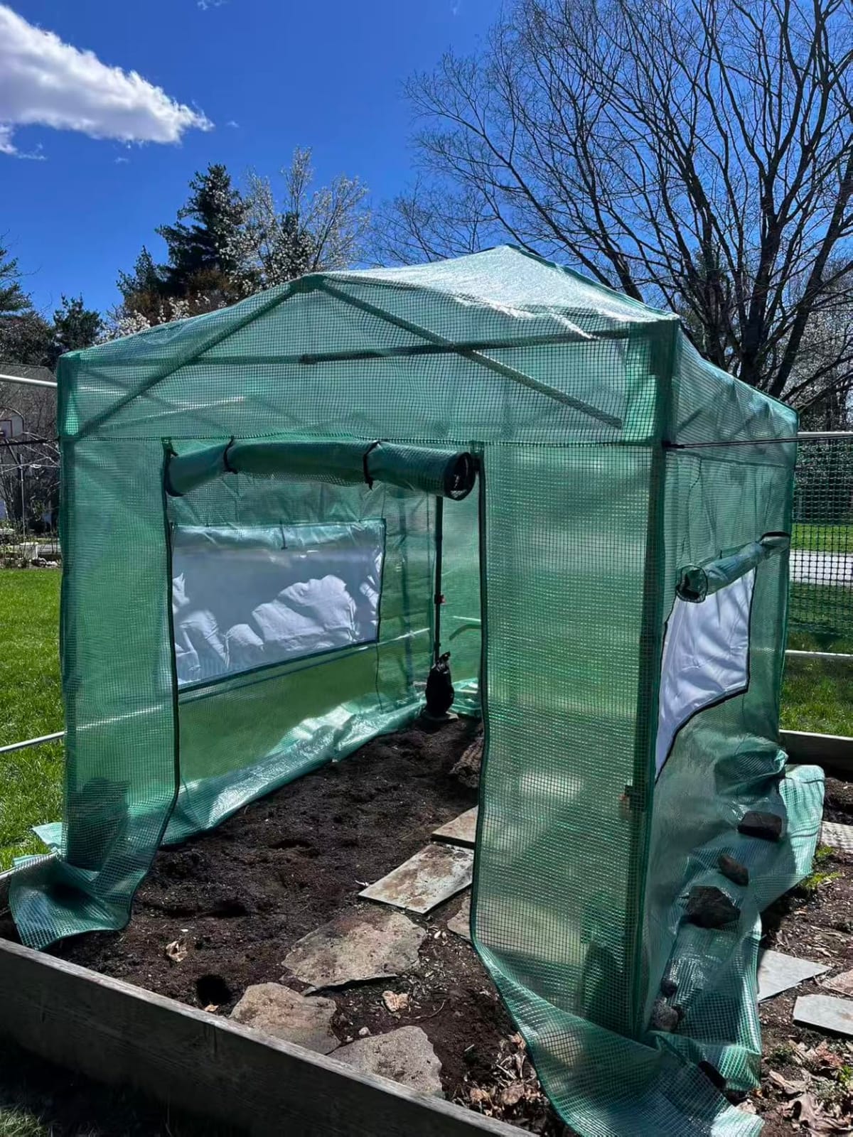 CROWN SHADES 12X8 Pop Up Outdoor Walk-in Portable Greenhouse,Green customer photo 2