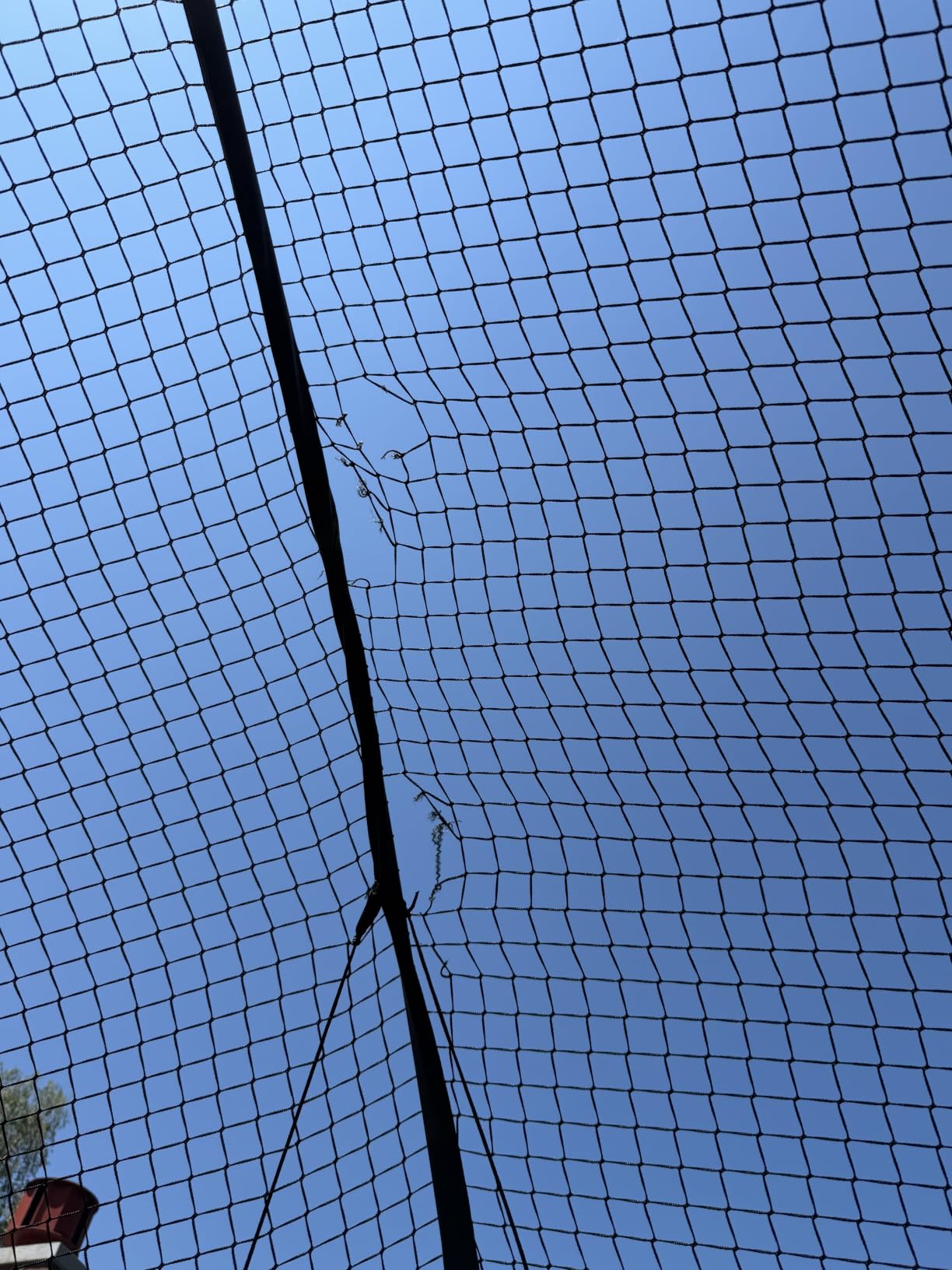 VEVOR Baseball Batting Cage,Carbon Steel/Fiberglasss Portable Batting Cage customer photo 2