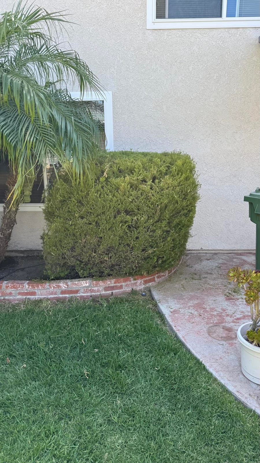 22 inch Hedge Trimmer Cordless with 2 Battery and Charger, 20V Bush Trimmer customer photo 2