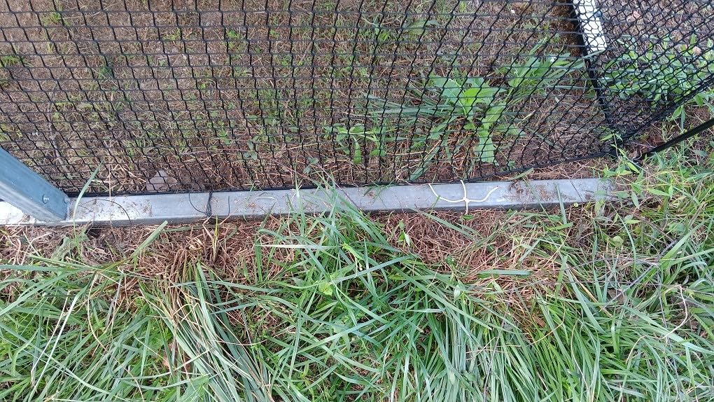 Baseball Batting Cage Net for Backyard Softball Portable Pop Up Cage customer photo 1