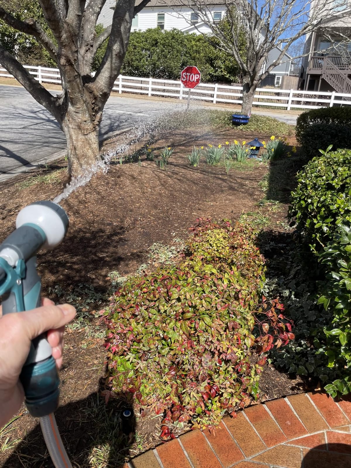 Retractable Garden Hose Reel 1/2 Inch x 100 ft,Automatic Slow Rewind System customer photo 2