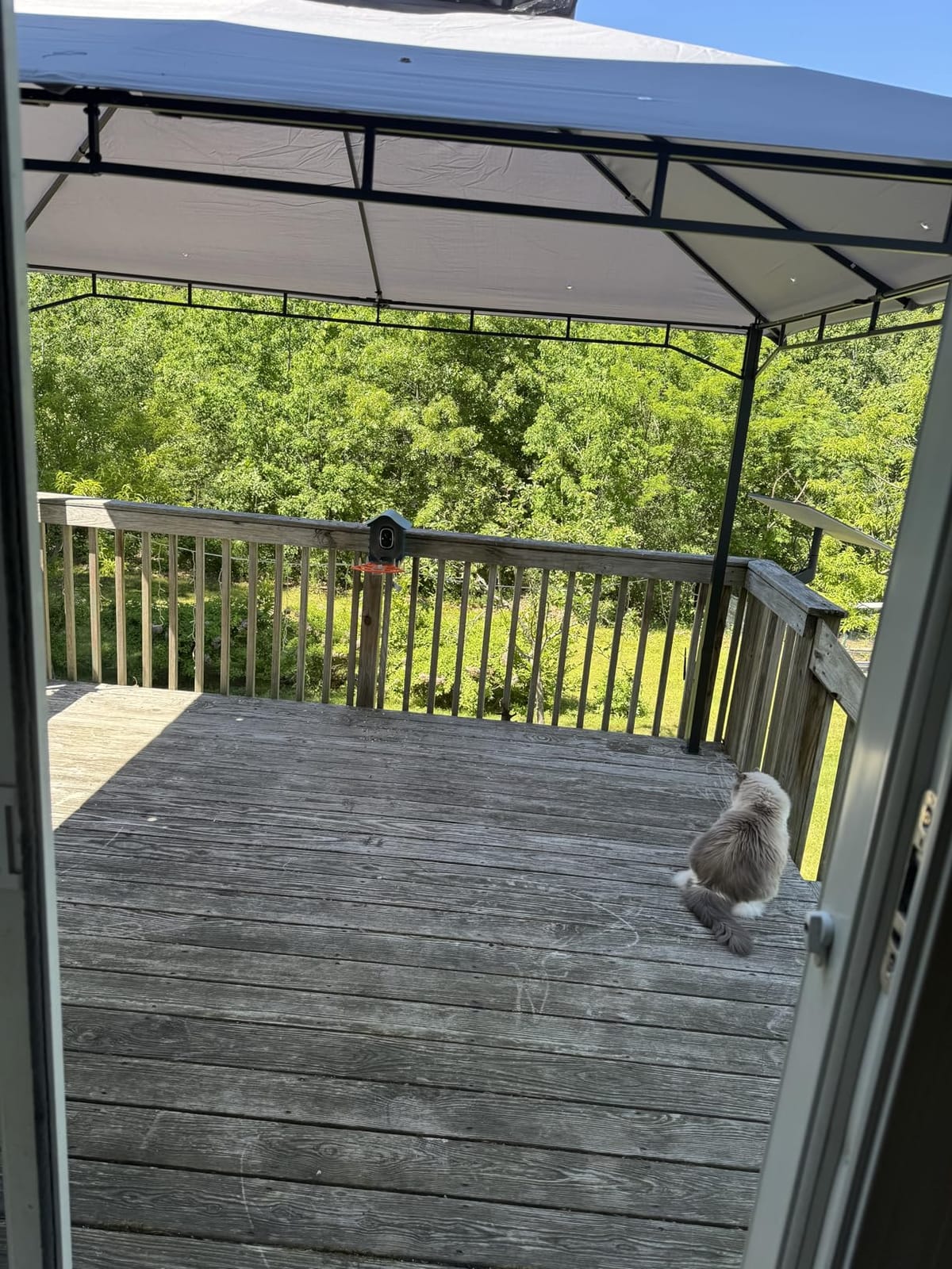 Aoxun 12x10 Outdoor Gazebo with Mosquito Netting & Double Roof, Gray customer photo 1