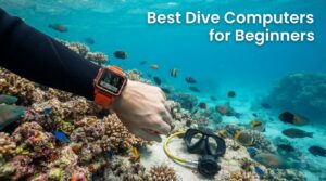 Best Dive Computers for Beginners