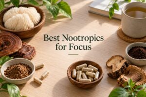 Best Nootropics for Focus