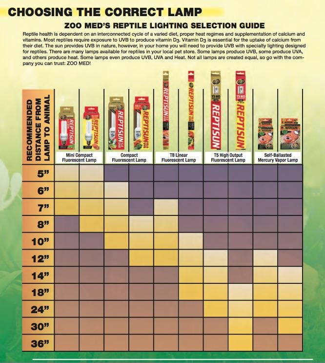 Zoo Med PowerSun UV Bulb 160 Watt customer photo 1