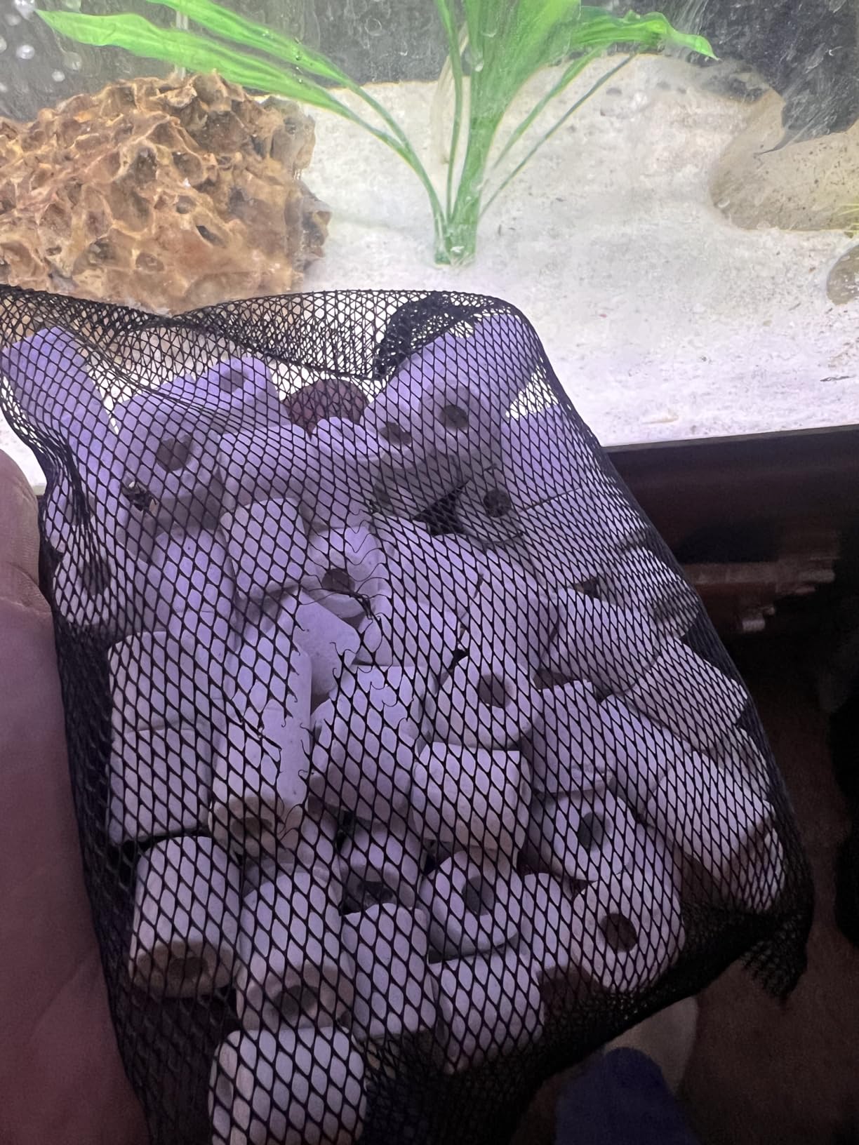Penn-Plax Cascade Filt-a-Pack Aquarium Canister Filter Media Bag with Bio Rings – 10 Oz – 1-Pack customer photo 1