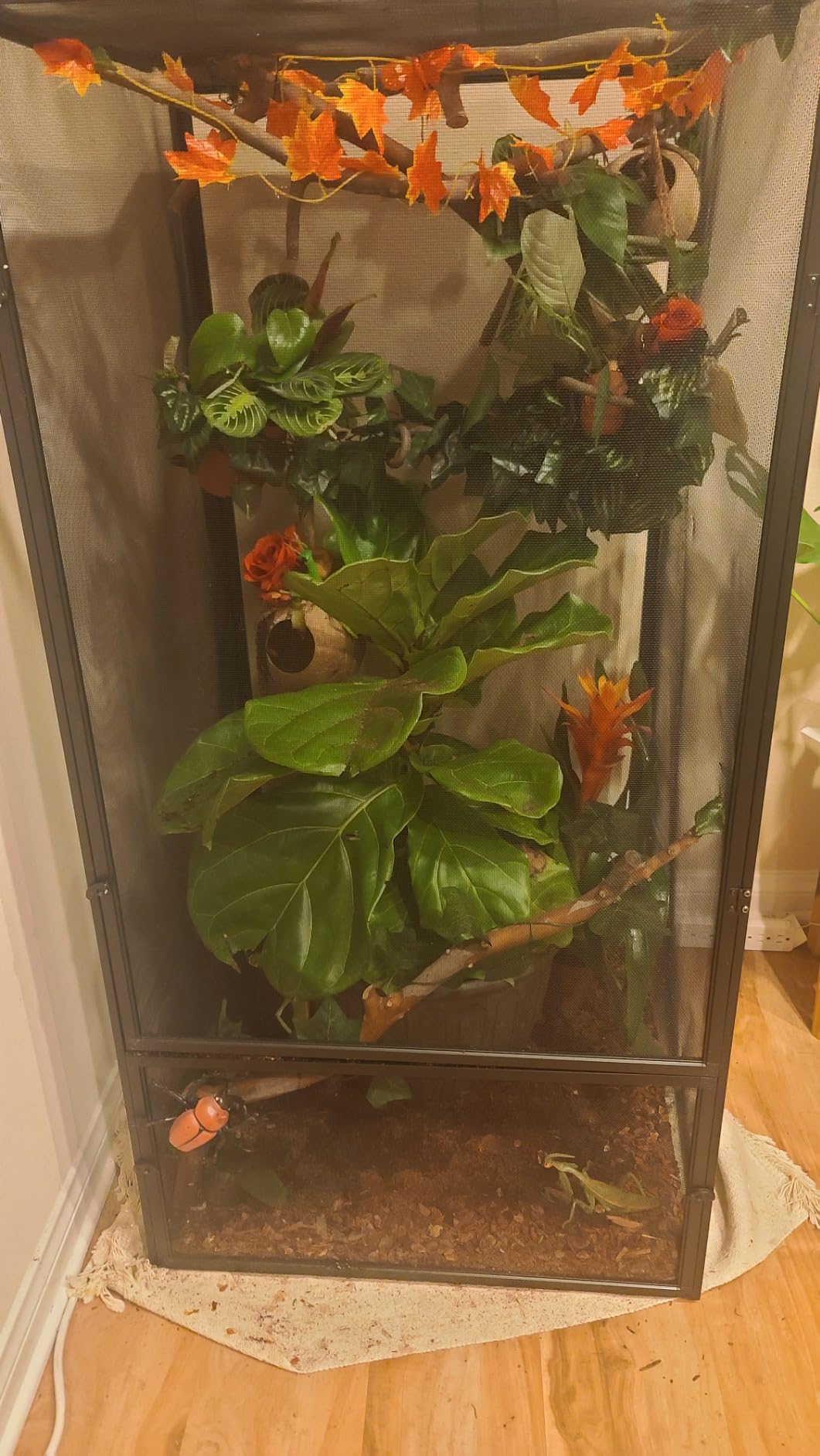 Zoo Med Reptibreeze Open Air Screen Cage 24x24x48 customer photo 1