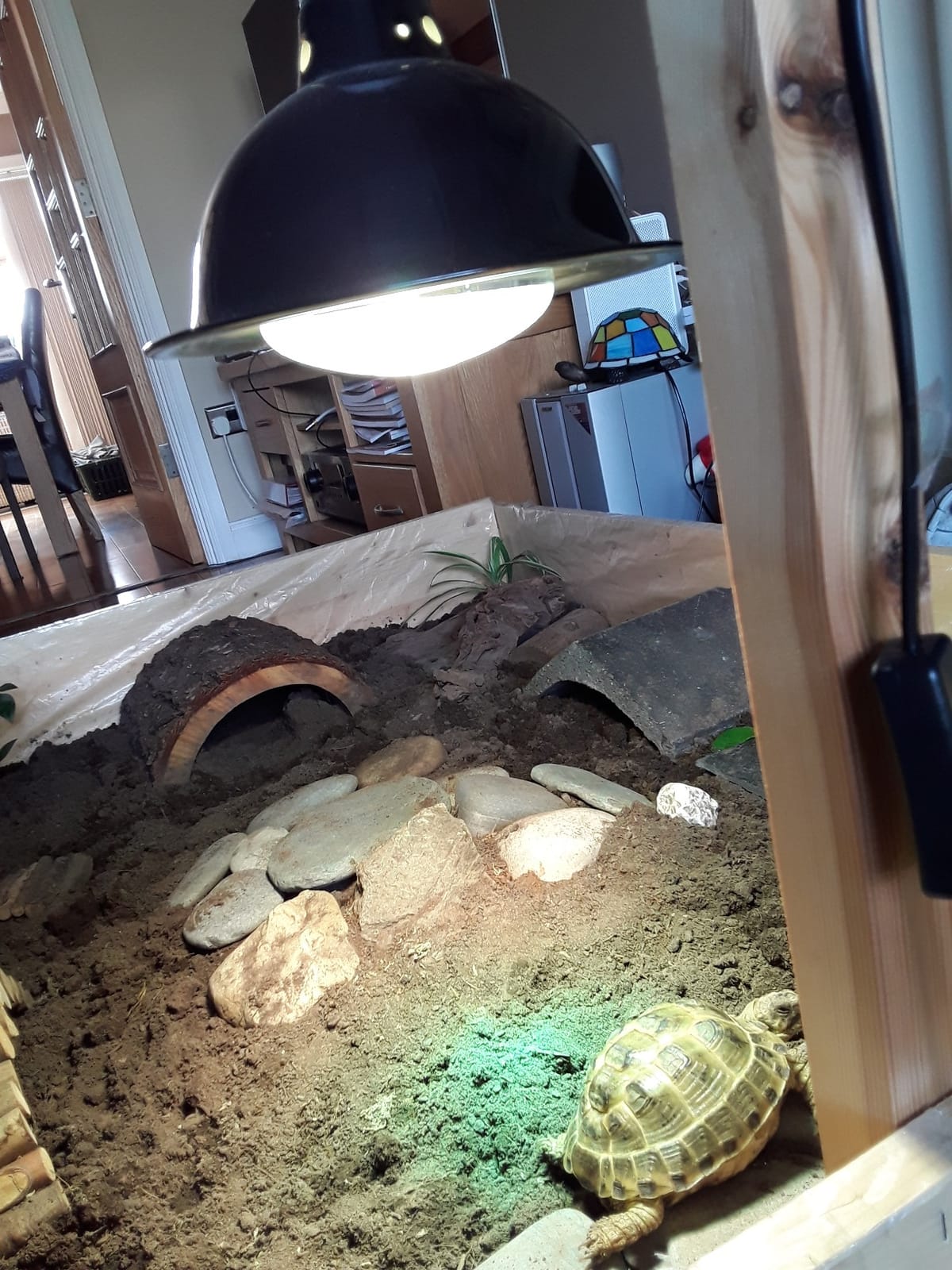Mega-Ray Mercury Vapor Bulb (100, Watts) customer photo 1