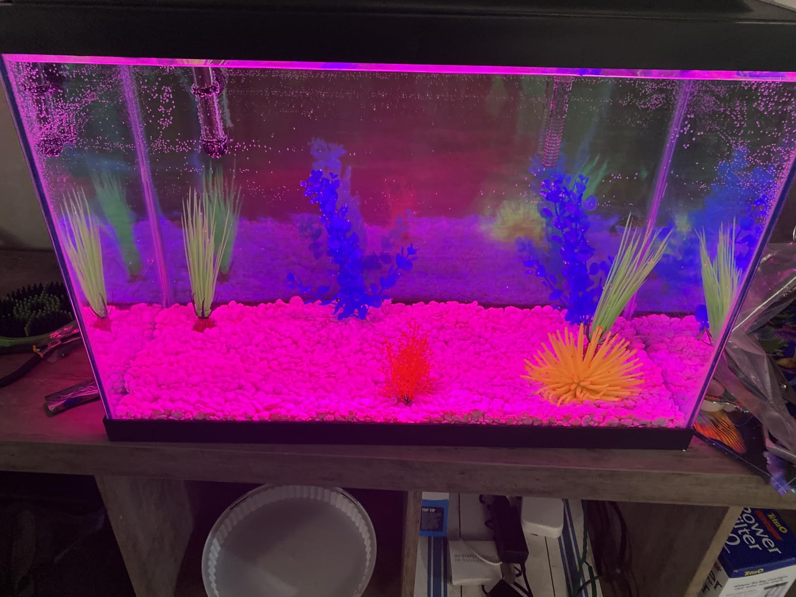 Tetra Color Complete 20 Gallon Fish Tank Kit for Freshwater, Saltwater Fish customer photo 2