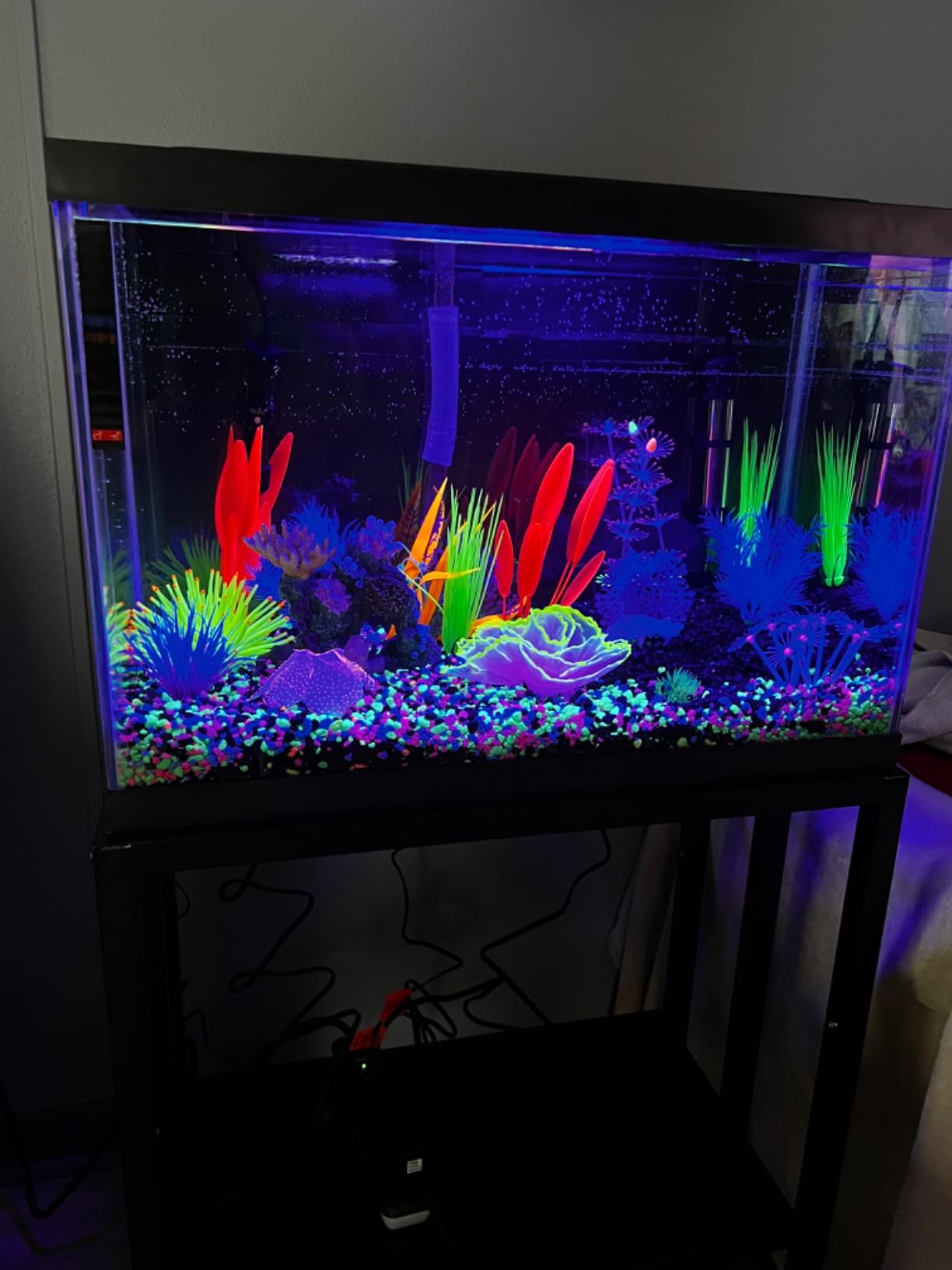 GloFish 20 Gallon Aquarium Kit with LED Lights, Decor Heater and Filter customer photo 1