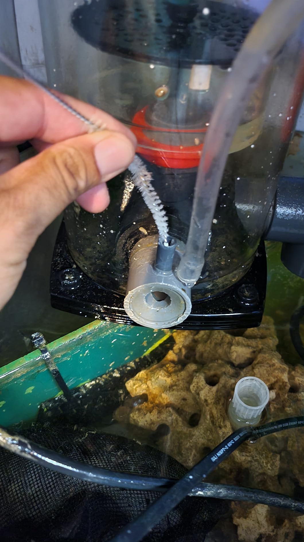 Reef Octopus Classic 150SSS Protein Skimmer customer photo 1