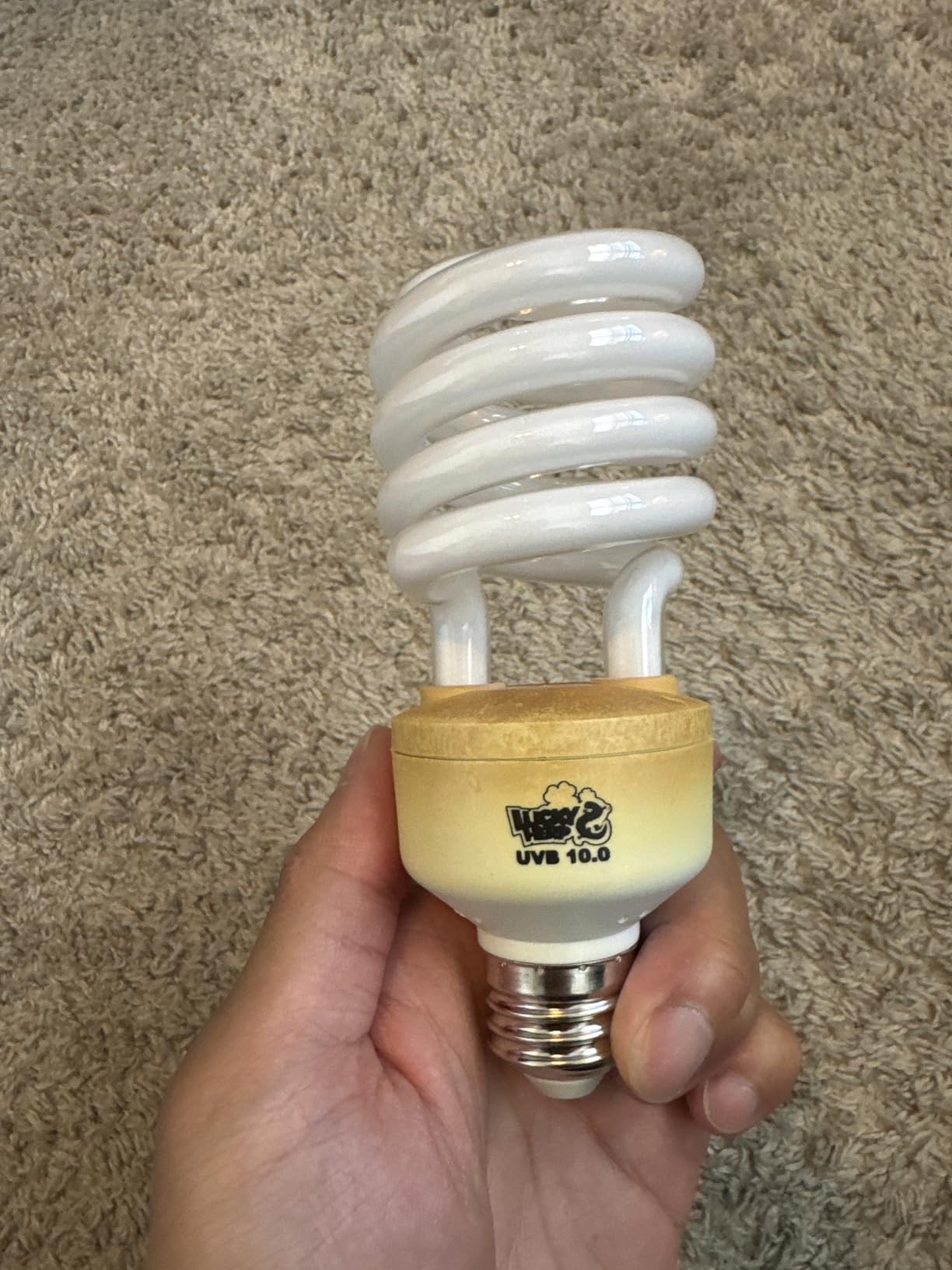 LUCKY HERP Desert UVA UVB Reptile Light Bulb 10.0 26W Compact Fluorescent Lamp customer photo 2