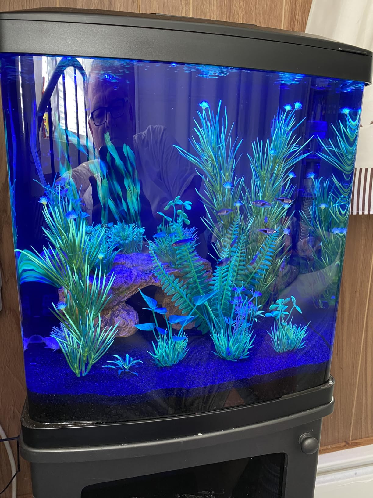 Coralife LED Biocube Aquarium Starter Kit, 16 Gallon Tank for Beginners customer photo 1