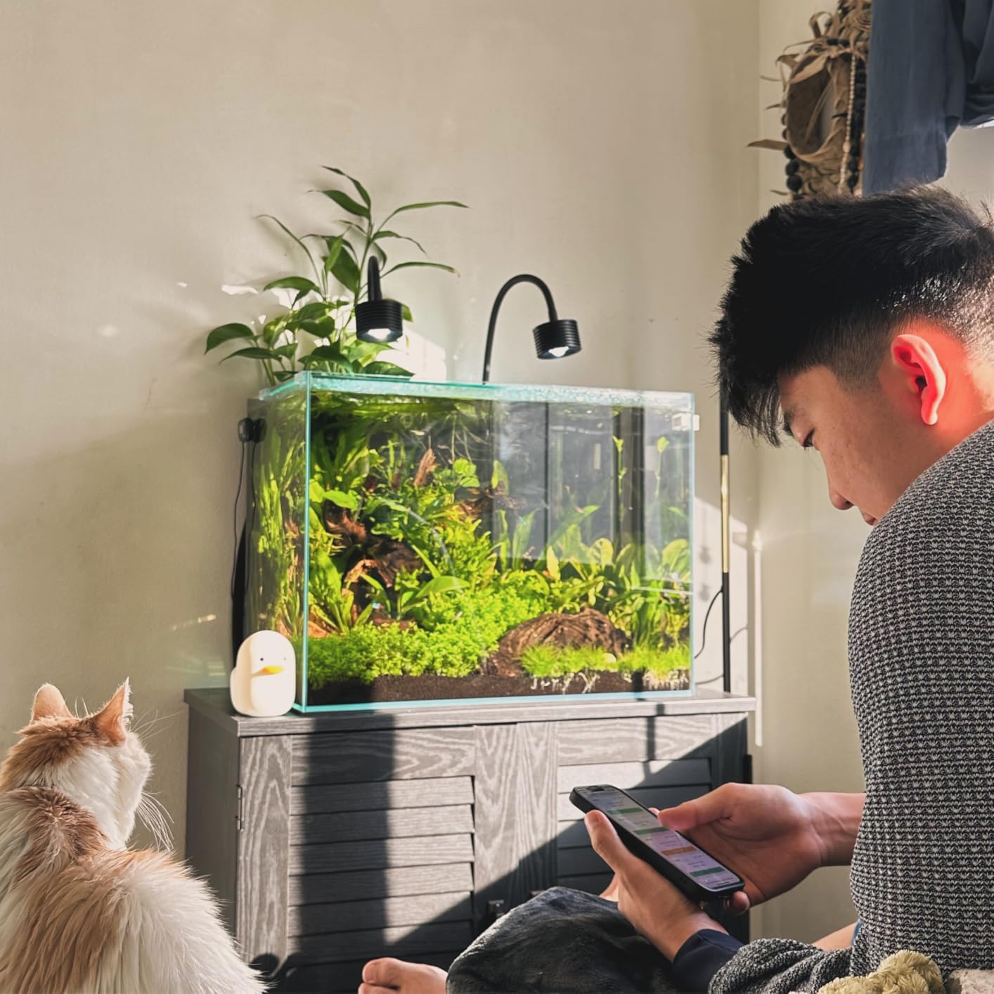 Lominie LED Aquarium Light, Planted Tank Light 4 Channels Remote Control 6500K Aquarium LED Lamp for Freshwater Fish Tank Refugium with Gooseneck (A20 Freshwater) customer photo 1
