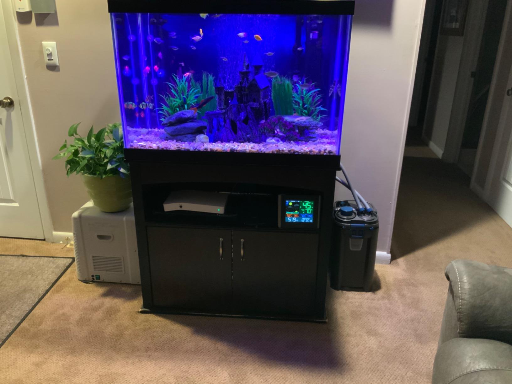 OASE BioMaster Thermo External Filter with Built-in Heater for Aquariums up to 160 gallons, Multi-stage Filtration, Easy Maintenance Prefilter, Quiet Canister Filter, German Engineering customer photo 2
