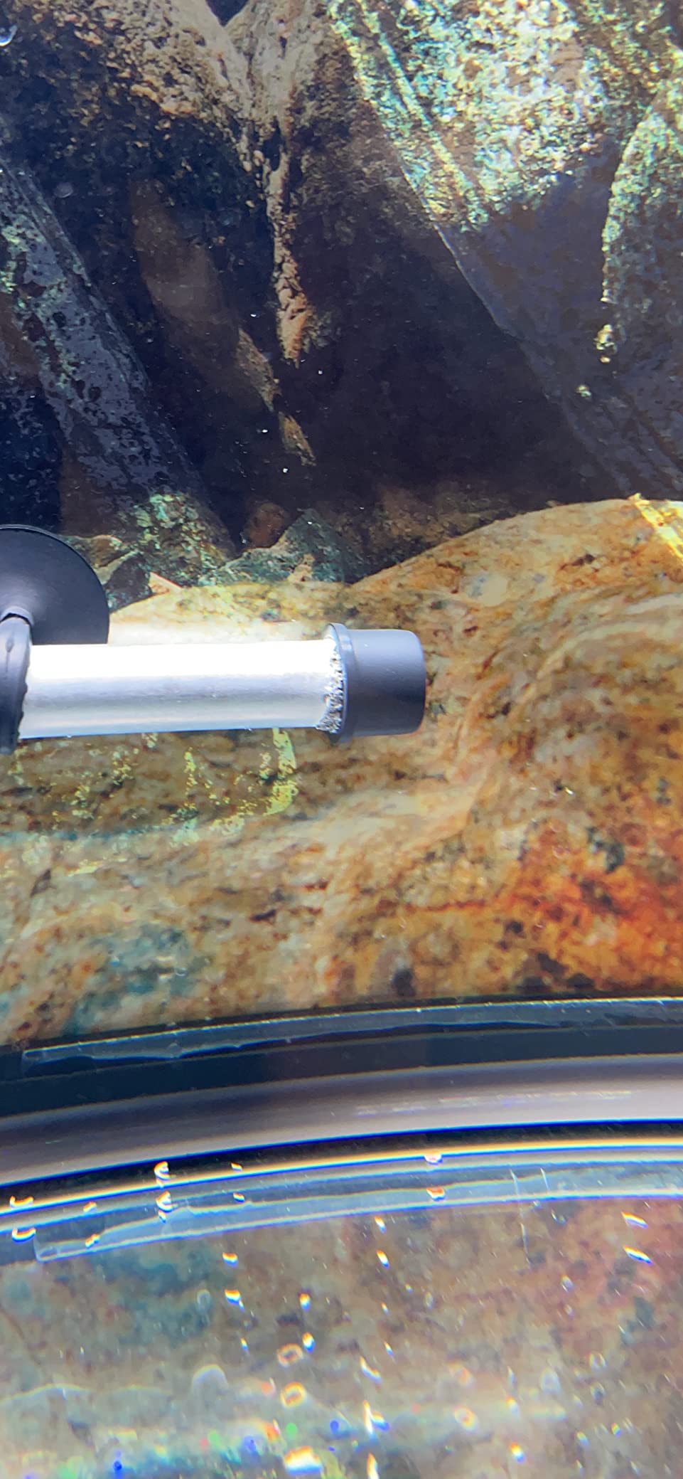 hygger Pinpoint Saltwater Aquarium Heater with Digital Thermostat IC Temp Controller, Titanium Tube Submersible Fish Tank Heater for Coral Reef 500 Watt customer photo 2