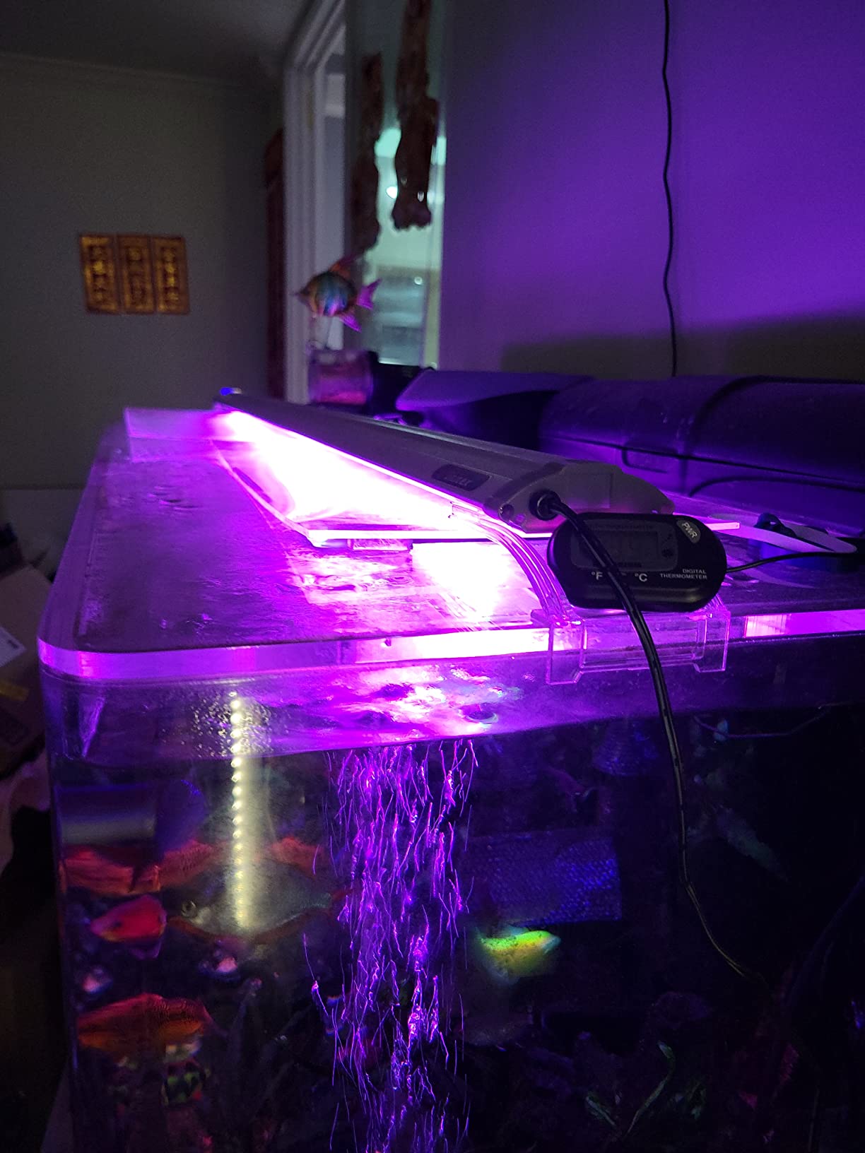 Finnex Planted Plus True 24/7 + HLC Aquarium LED Light, Automated Full Spectrum Fish Tank Light, True 660nm Deep Red Plant LEDs, 48 Inch (HLC-48) customer photo 1
