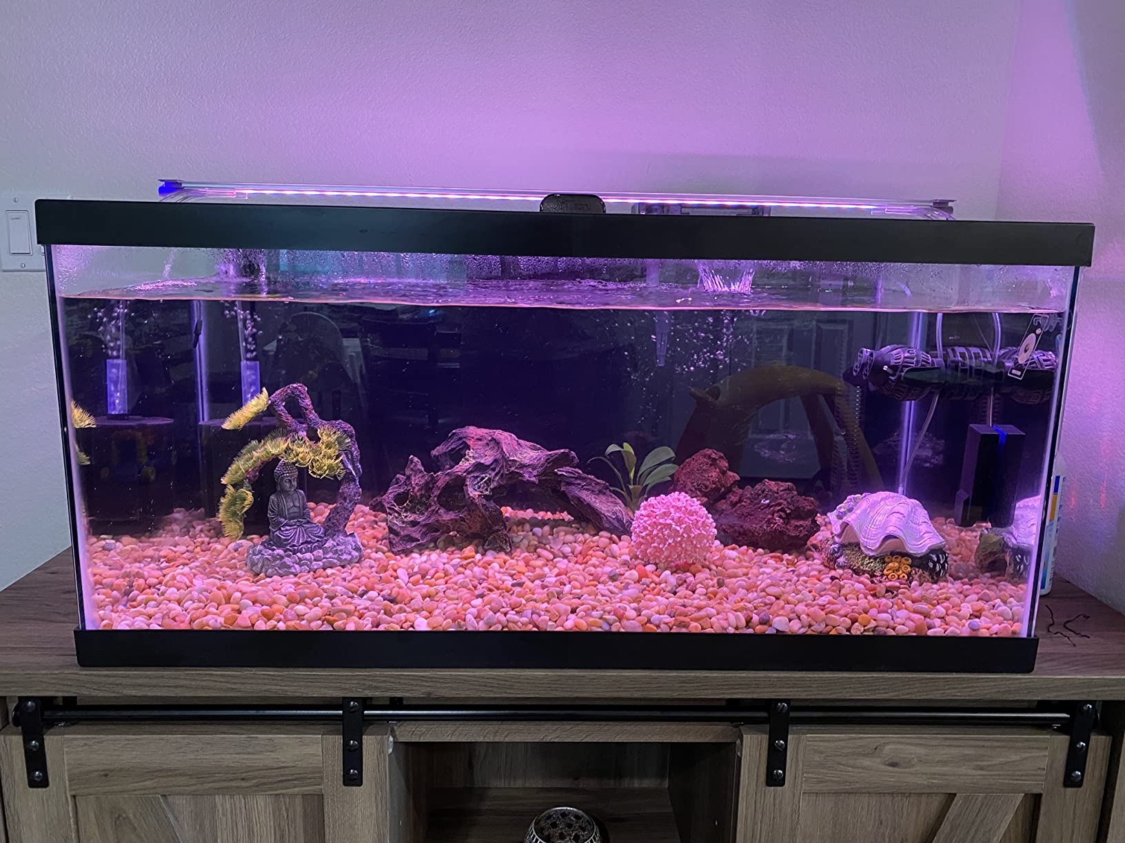 Finnex Planted Plus True 24/7 + HLC Aquarium LED Light, Automated Full Spectrum Fish Tank Light, True 660nm Deep Red Plant LEDs, 48 Inch (HLC-48) customer photo 2