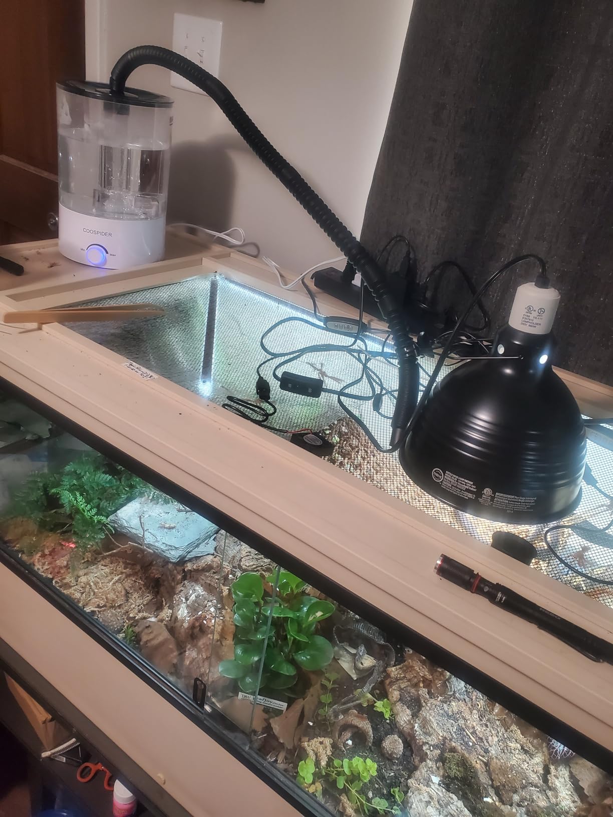 Coospider 3.8L Reptile Fogger Mister, Quiet Reptile Humidifier for Reptiles Tank, Terrarium Humidifiers with Extended Tube, Automatic Reptile Misting System for Reptiles Amphibians Herps Vivarium customer photo 1