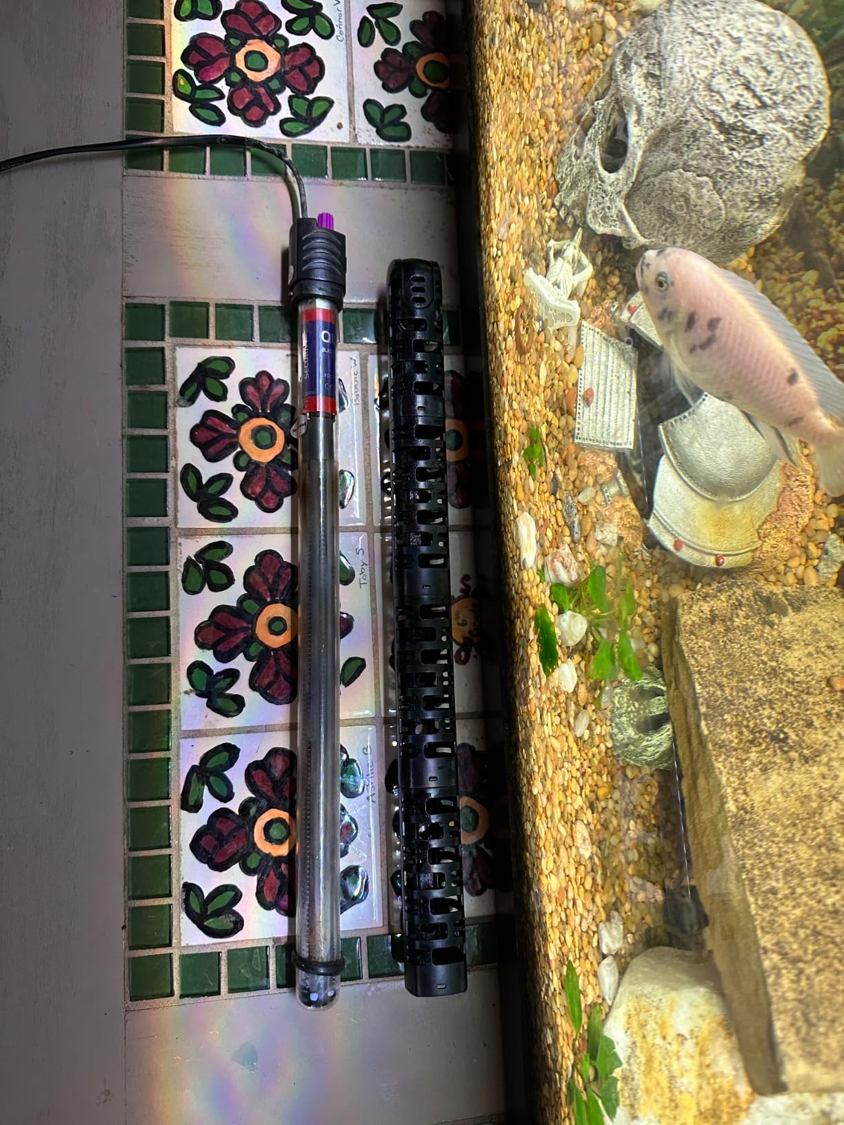 100W/300W/500W Aquarium Heater 500 Watt Fish Tank Heater Submersible Auto Thermostat Turtle Tank Heater 40-90 Gallon with Protective Sleeve and 3 Suckers customer photo 2