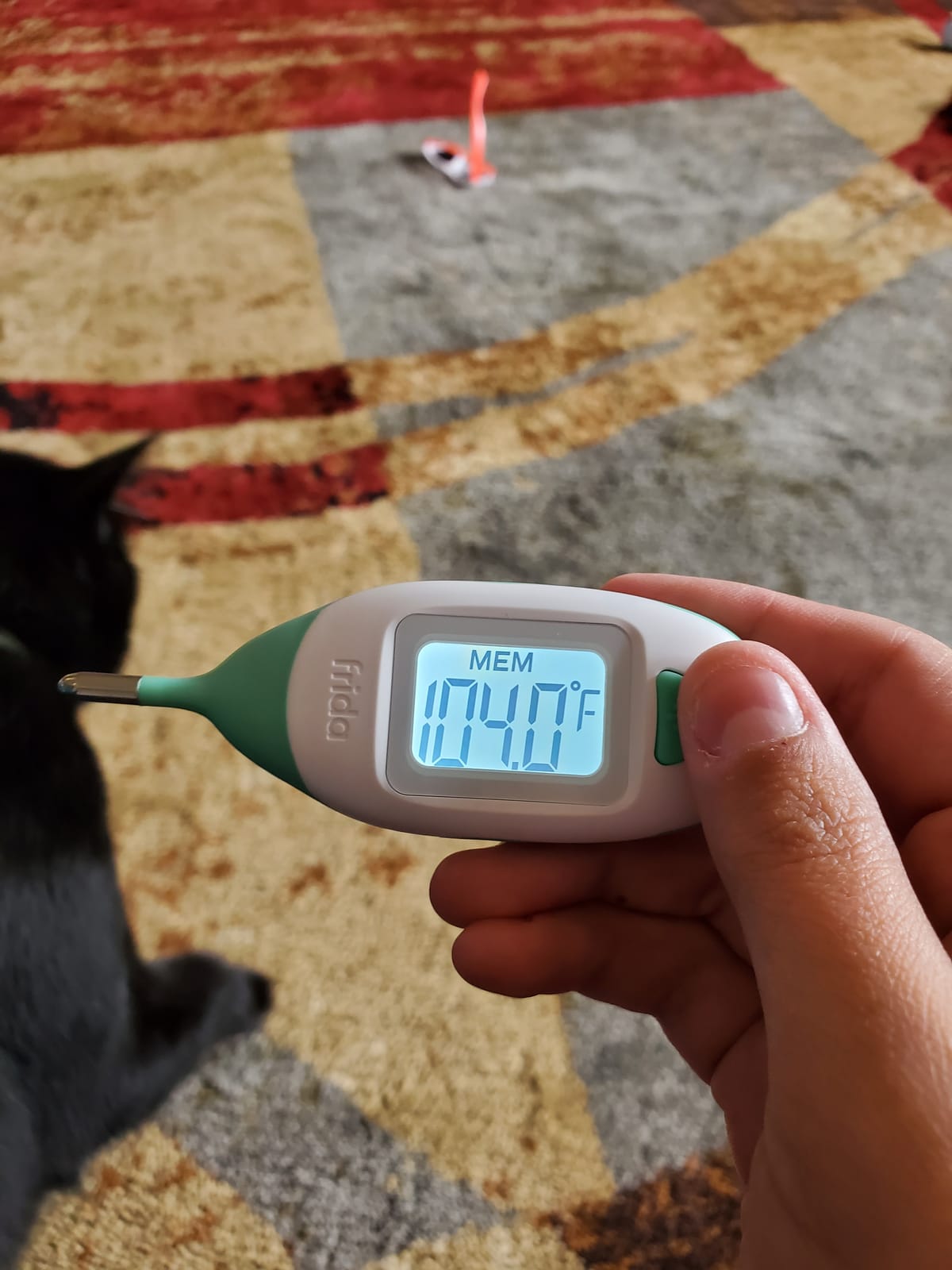 Frida Baby Digital Rectal Thermometer for Babies, Newborns & Infants customer photo 1