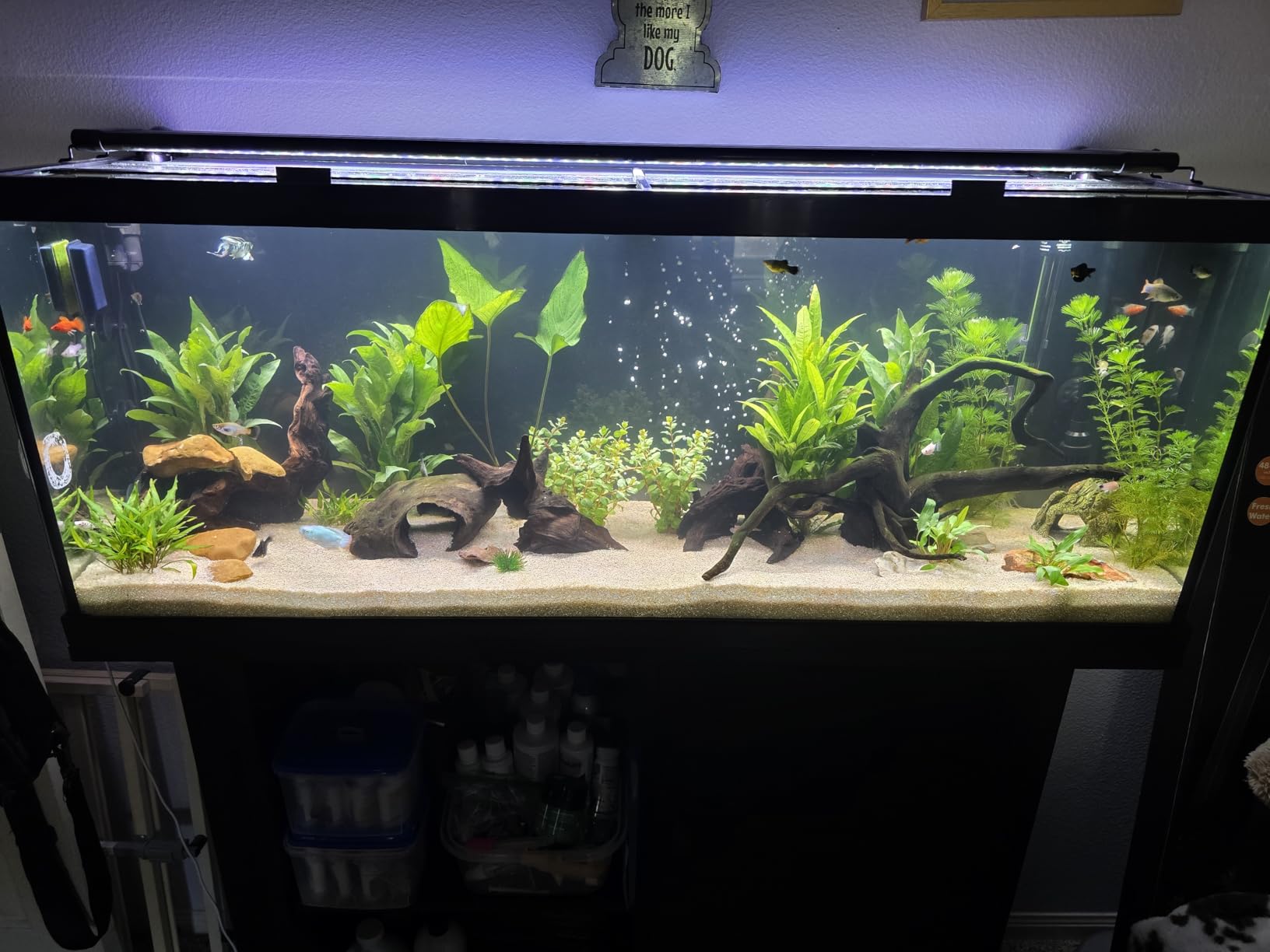 hygger Auto On Off LED Aquarium Light 48-55 Inches Dimmable 7 Colors Full Spectrum Fish Tank Light Fixture for Freshwater Planted Tank Build in Timer Daylight Moonlight & 24/7 Cycle customer photo 1