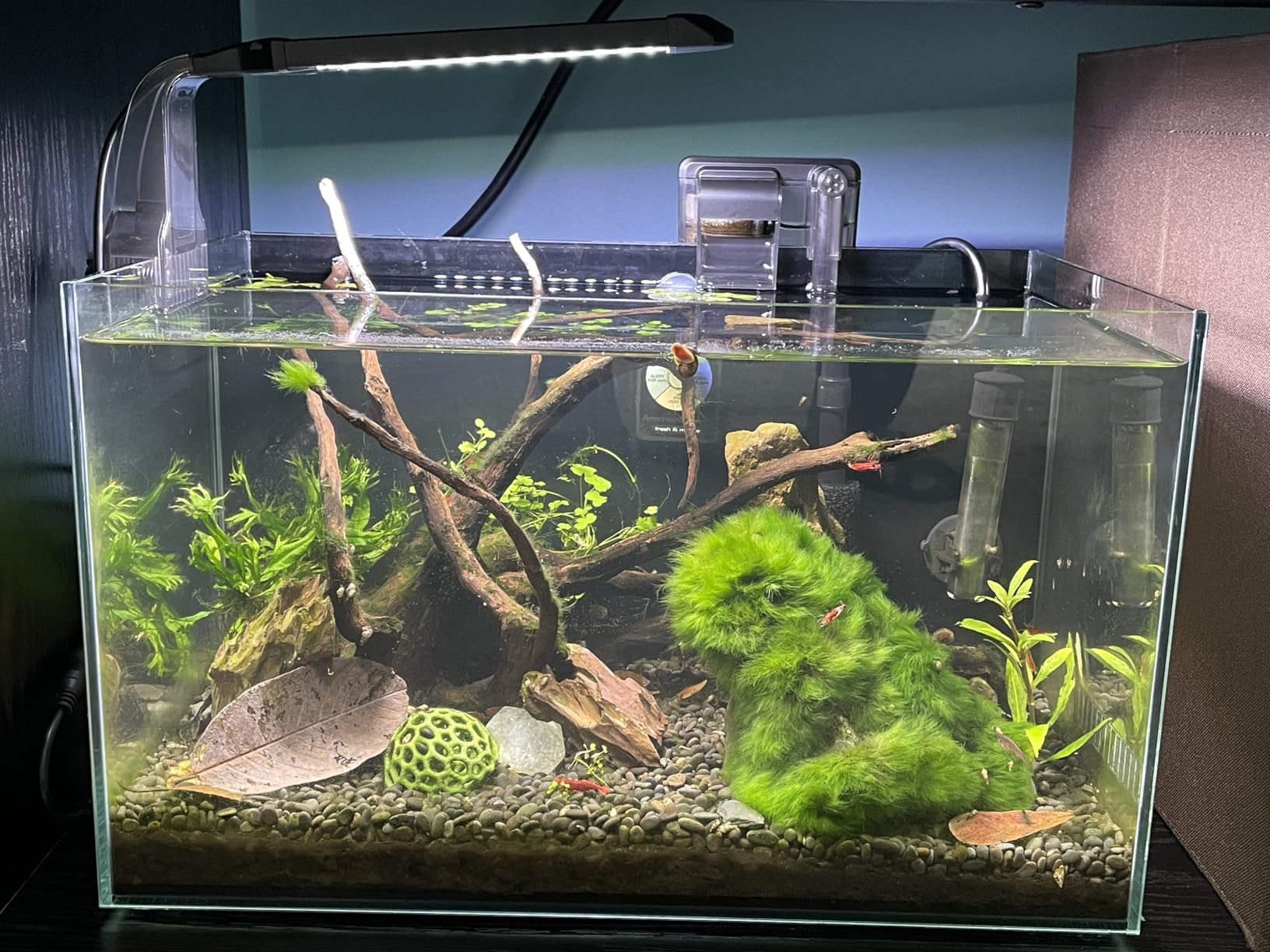 NICREW Clip-on Planted Aquarium Light for Fish Tank customer photo 1