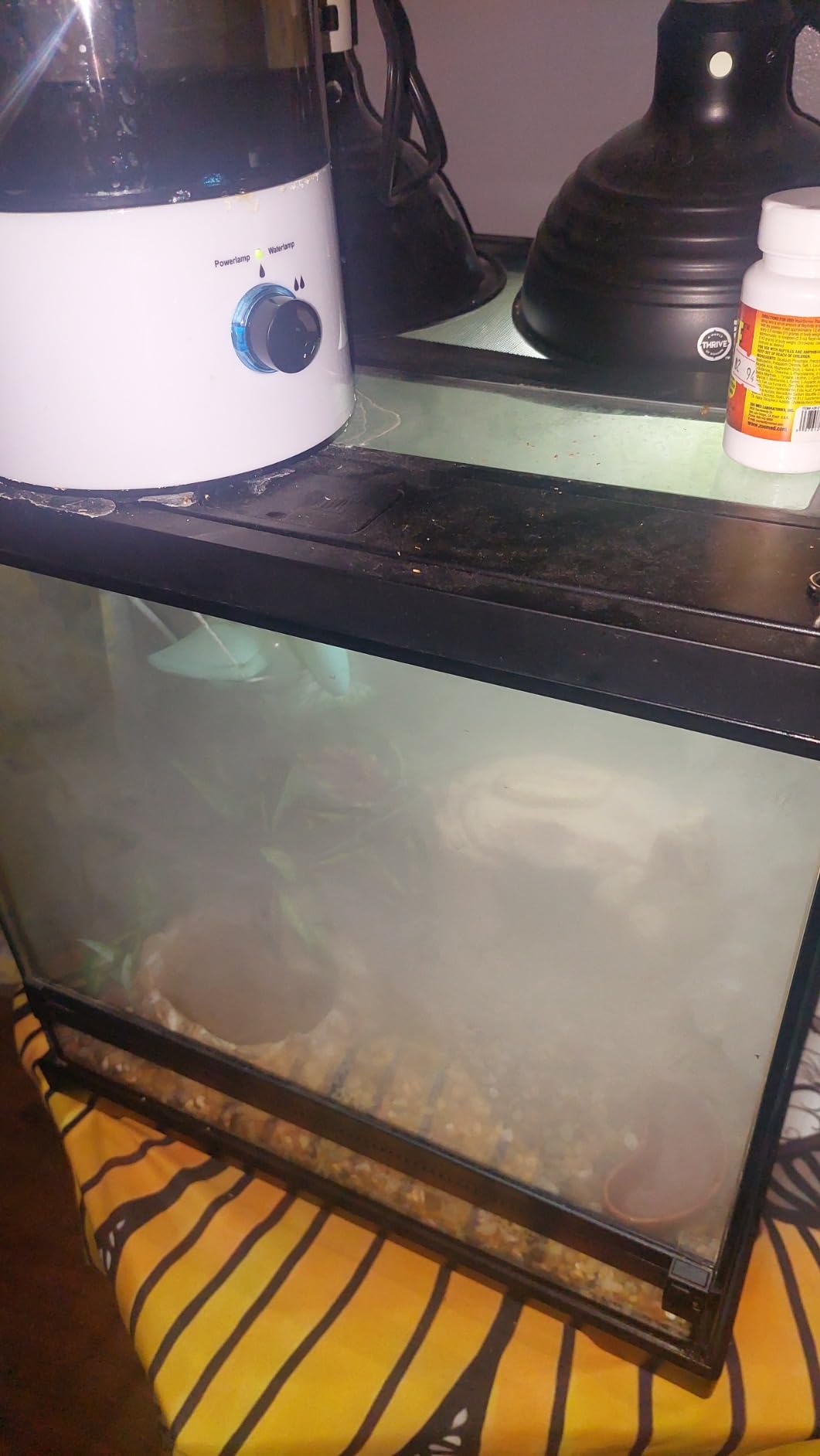 CALIDAKA Reptile Humidifier/Fogger with Extension Tube - 4L Large Tank Suitable for A Variety of Reptiles & Amphibians customer photo 1