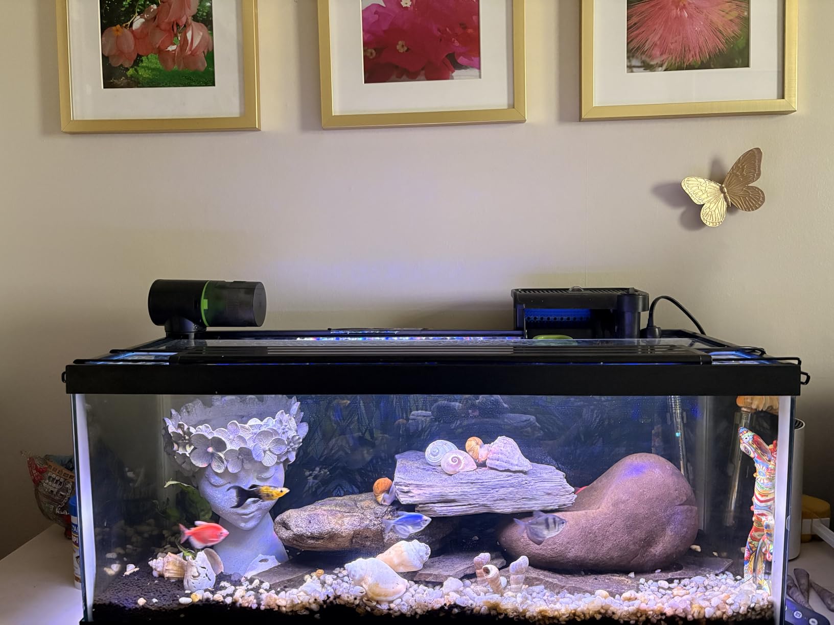Freesea Automatic Fish Feeder for Aquarium: One-Touch Easy Setup & 3 Timers customer photo 1