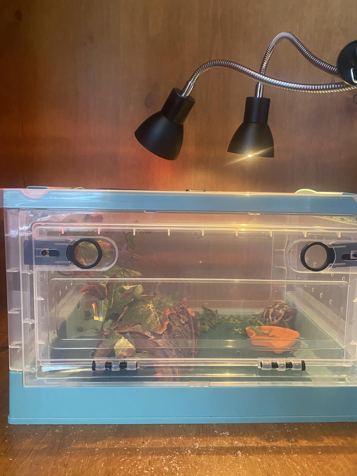 RunDuck Portable Foldable Terrarium Kit with Wheels for Reptiles Medium customer photo 1
