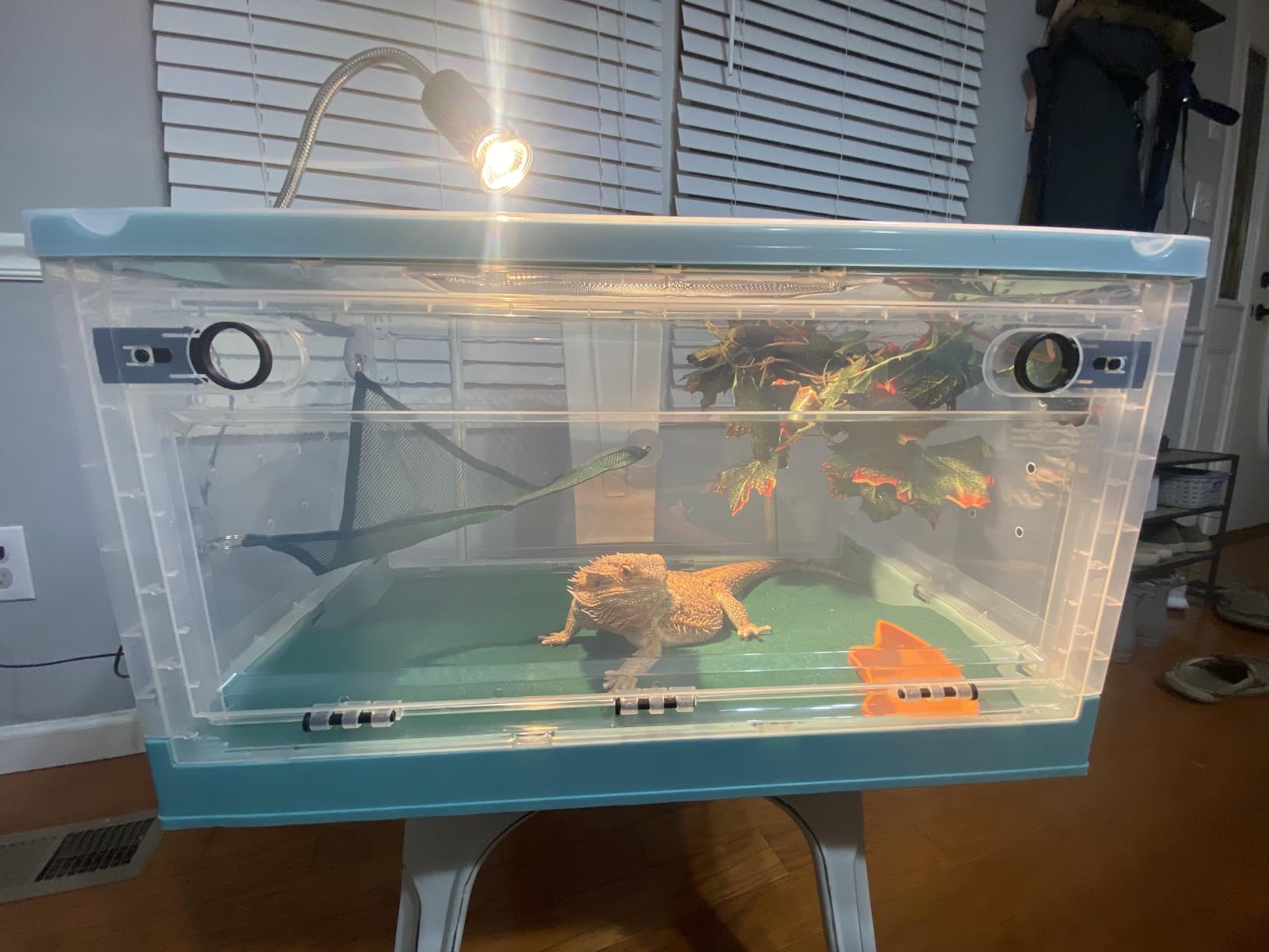 RunDuck Portable Foldable Terrarium Kit with Wheels for Reptiles Medium customer photo 2