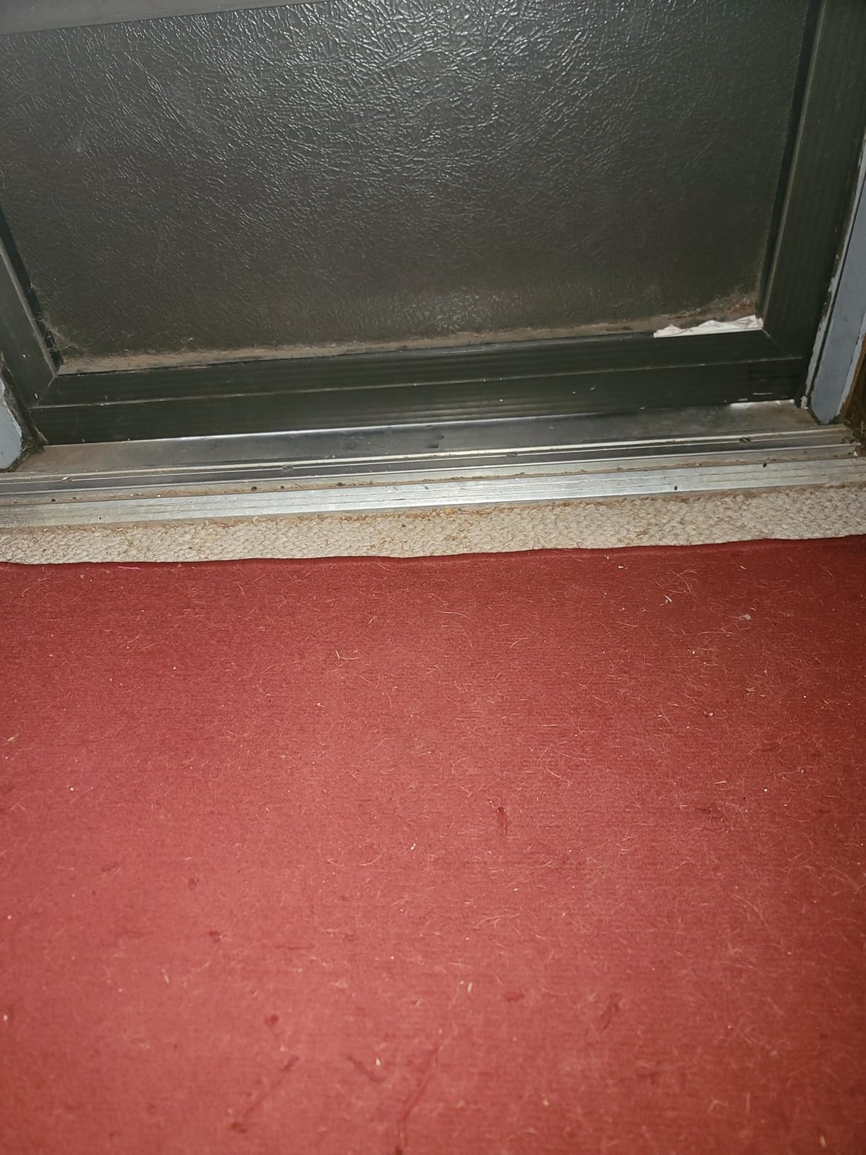 FACHNUO 4FT Portable Wheelchair Ramp for Home Steps, Non-Skid Aluminum Ramp customer photo 2