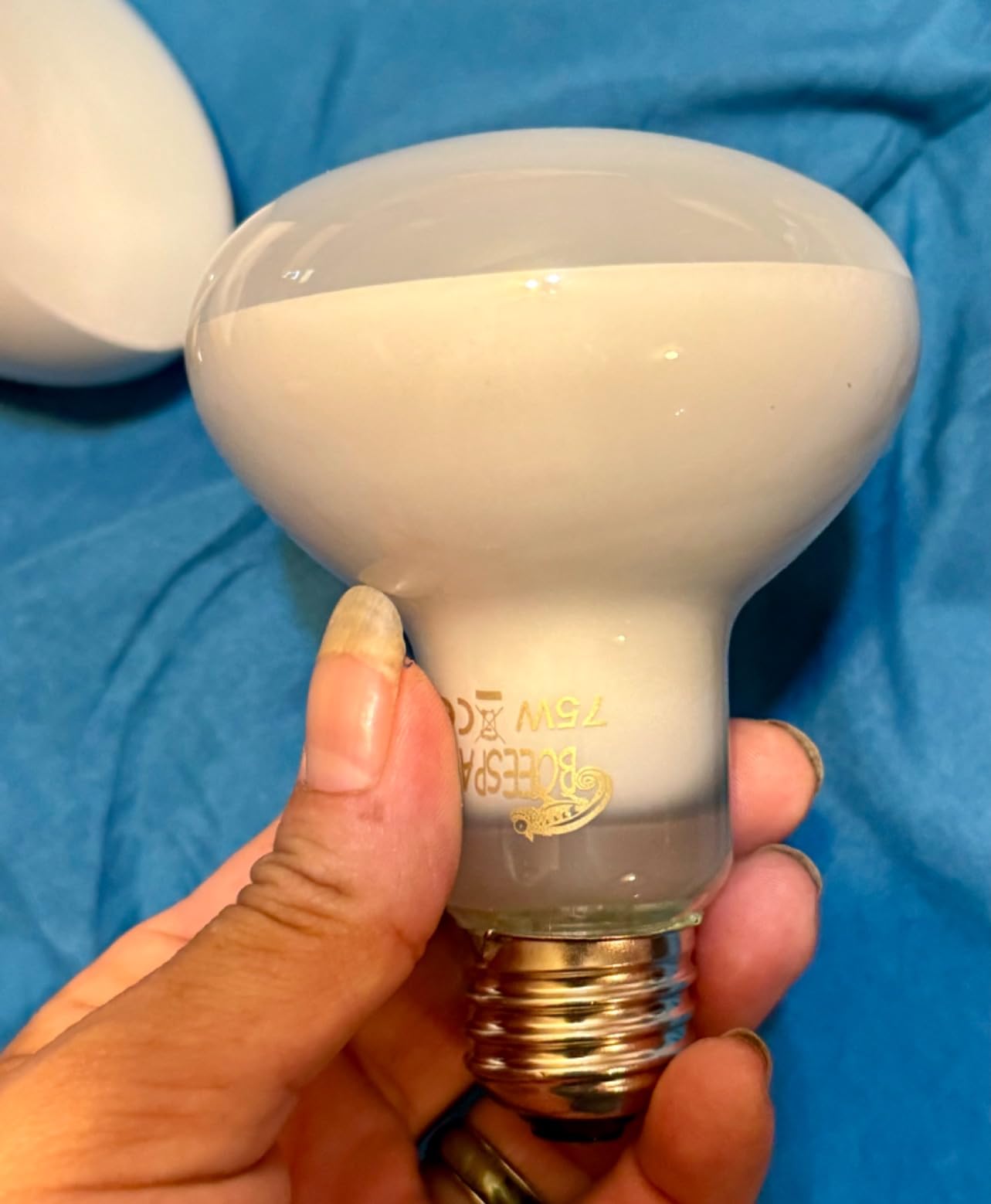 Pack of 2 Reptile Basking Light Bulbs - Incandescent 75W Simulated Sunlight UVA Heat Bulbs for Bearded Dragons, Geckos, Iguanas, Lizards, Amphibians & Small Pets customer photo 2
