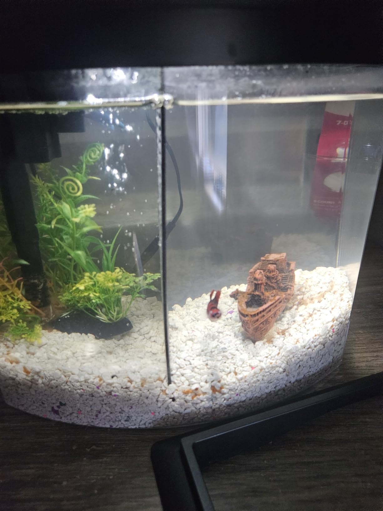 Aqueon 00800198: Aquarium Kit BettaBow Led Blk 2.5G customer photo 1