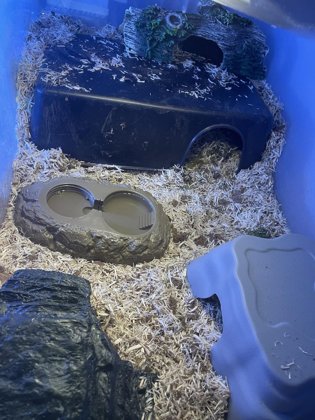 Amypet Reptile Hide Snake Hideout for Different Reptiles Snakes Ball Pythons Use Durable Material Easy to Clean 13.25