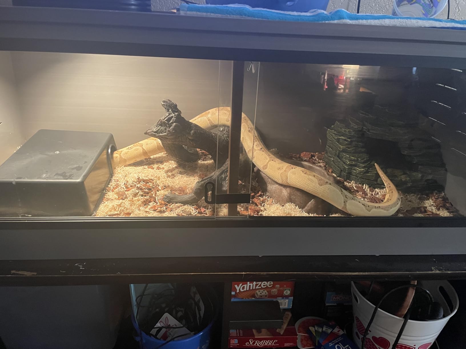 Amypet Reptile Hide Snake Hideout for Different Reptiles Snakes Ball Pythons Use Durable Material Easy to Clean 13.25