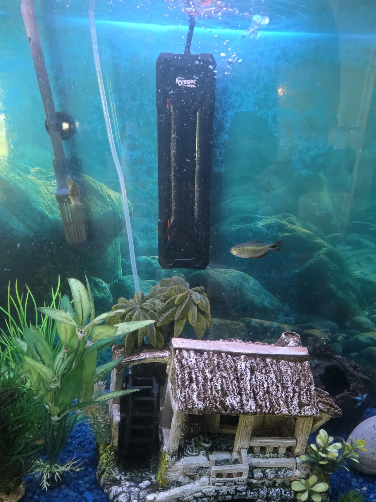 hygger Aquarium Heater 300W/500W/800W/1000W, Submersible Fish Tank Heater customer photo 1