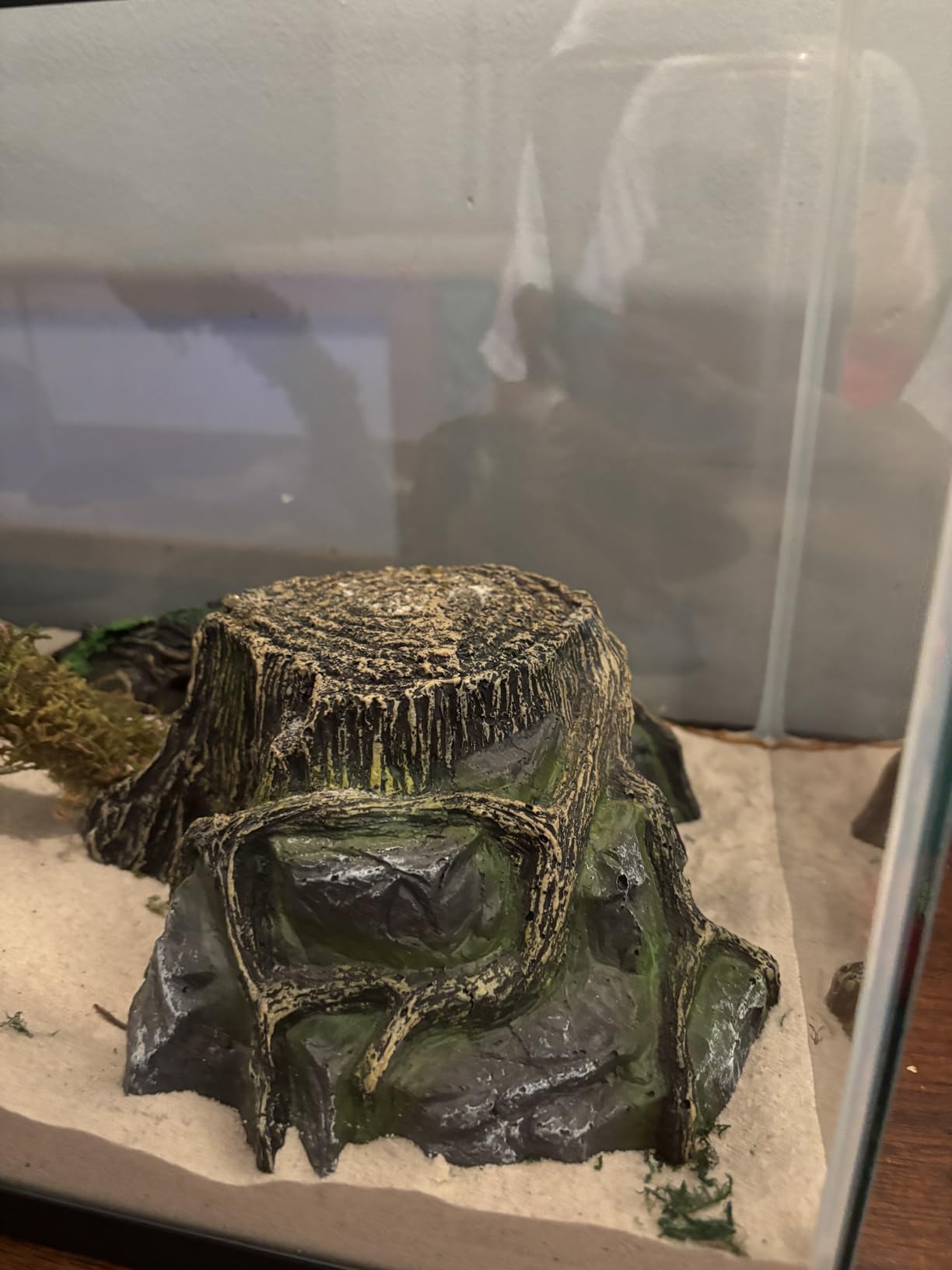 JIHAQUA Terrarium Decor Reptile Hide Reptile Hides and Caves, Medium customer photo 2