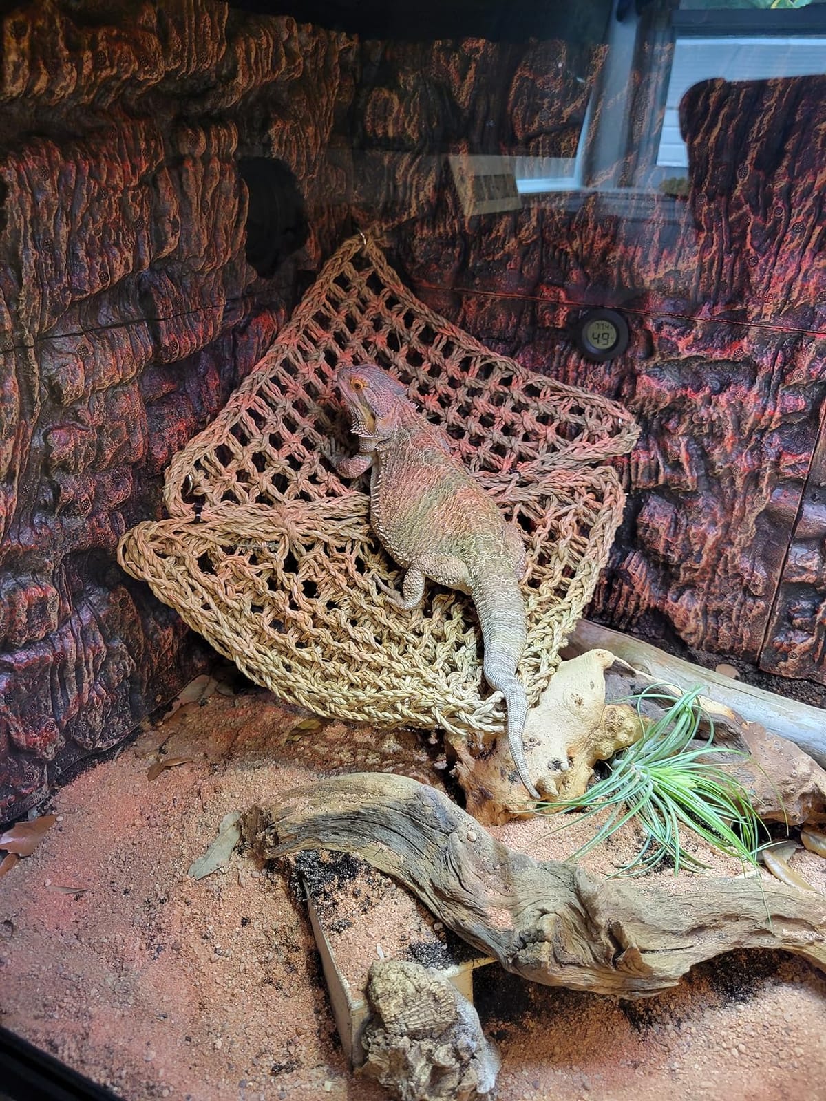 Reptile Habitats 4x2x2 (120 Gallon) Reptile Enclosure V3 PVC Panels, Glass Doors, Lightweight, Easy to Assemble, Heavy Duty Screen, Aluminum Frame customer photo 2