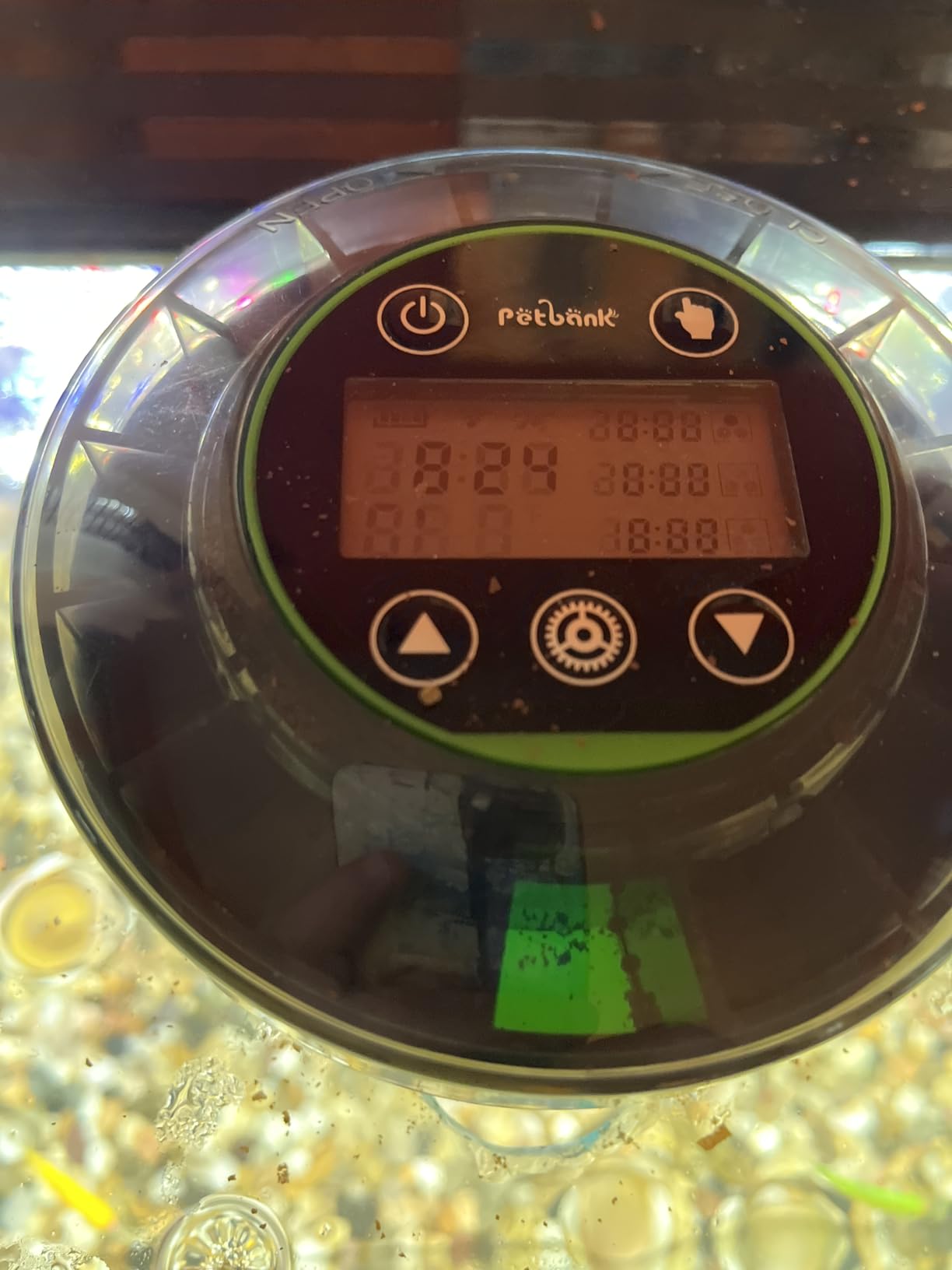 Automatic Fish Feeder for Aquarium Portion Control & Moisture-Proof customer photo 1